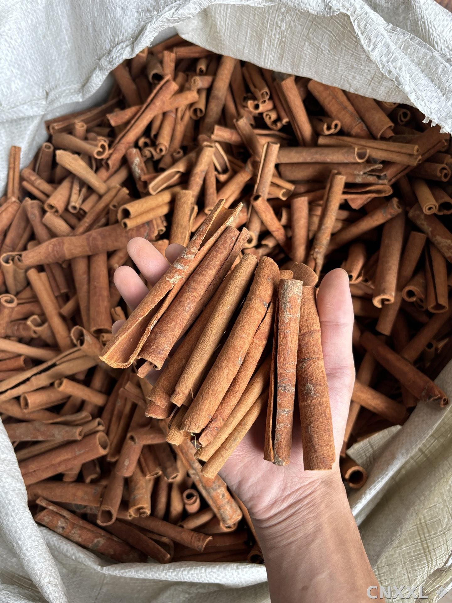 spice_2449398_4ea876bb_2.jpg