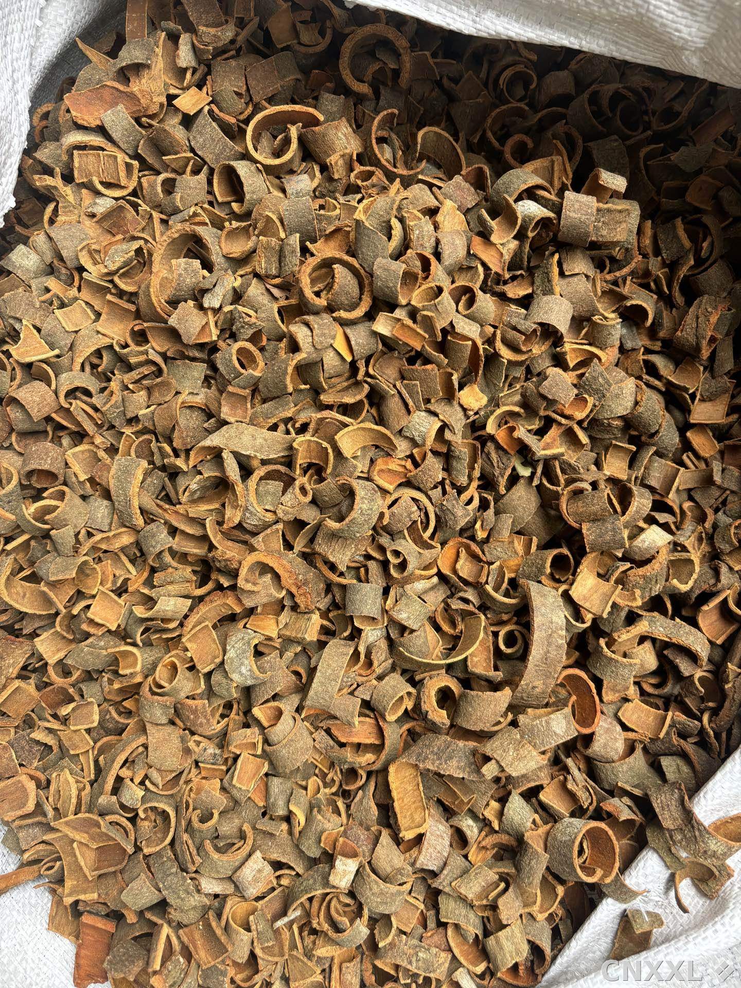 spice_2459556_cec69081_3.jpg