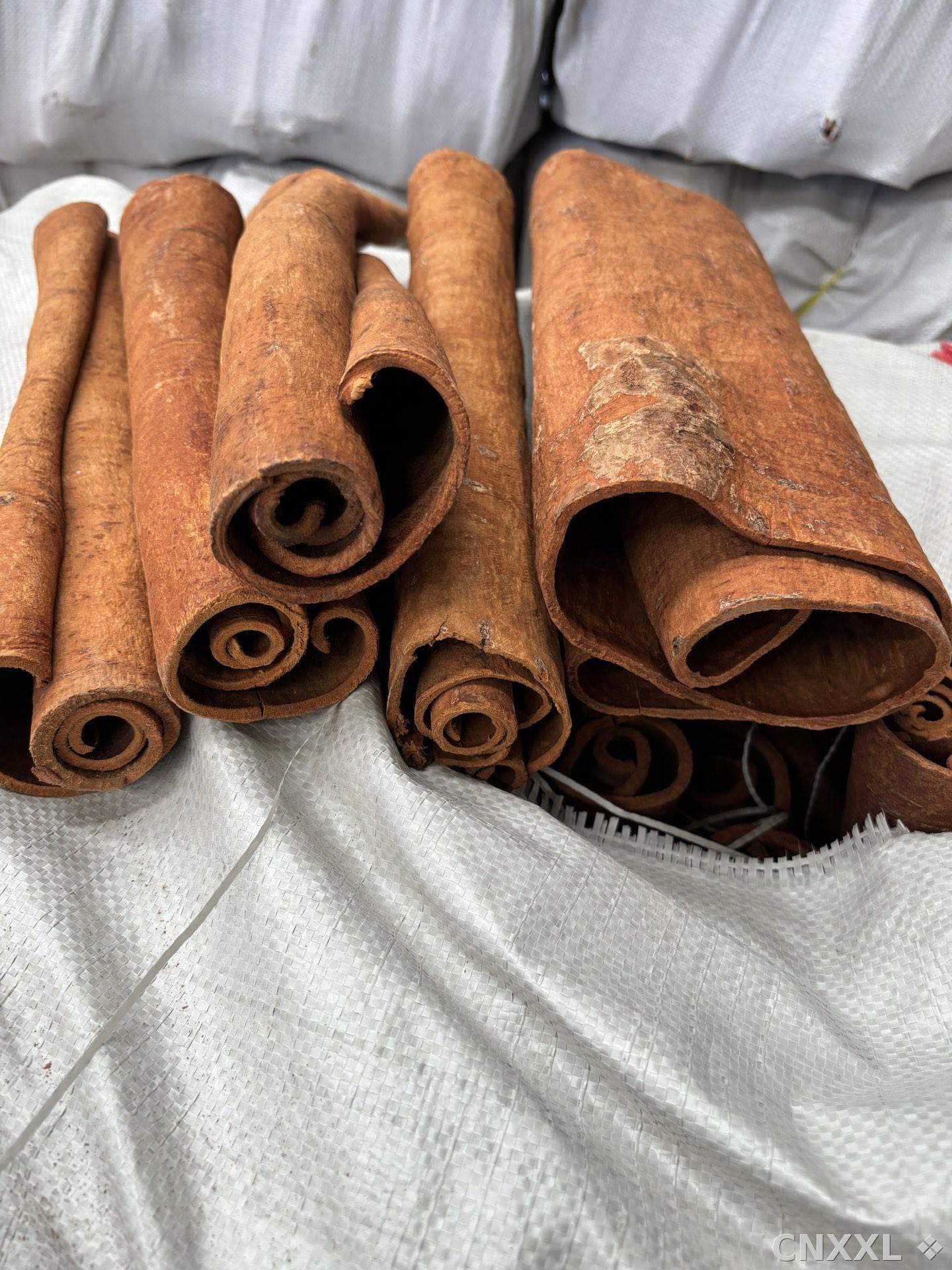 spice_2465019_5eef2109_3.jpg
