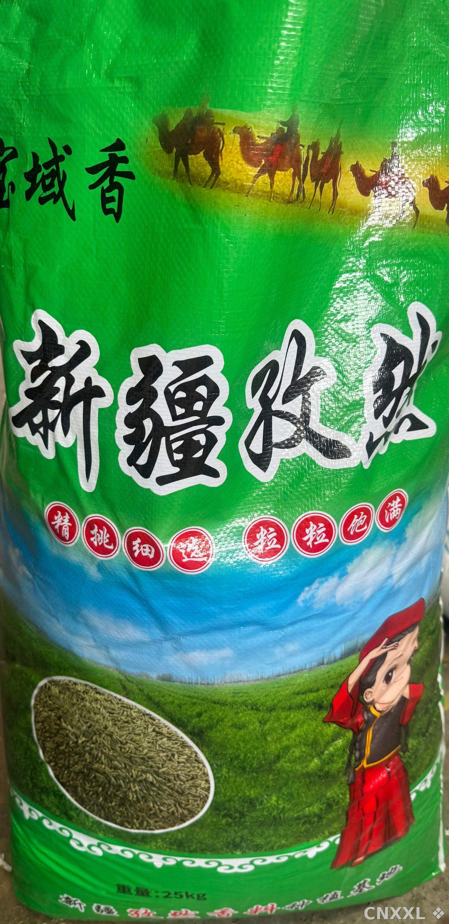 spice_2465020_bf62151a_3.jpg