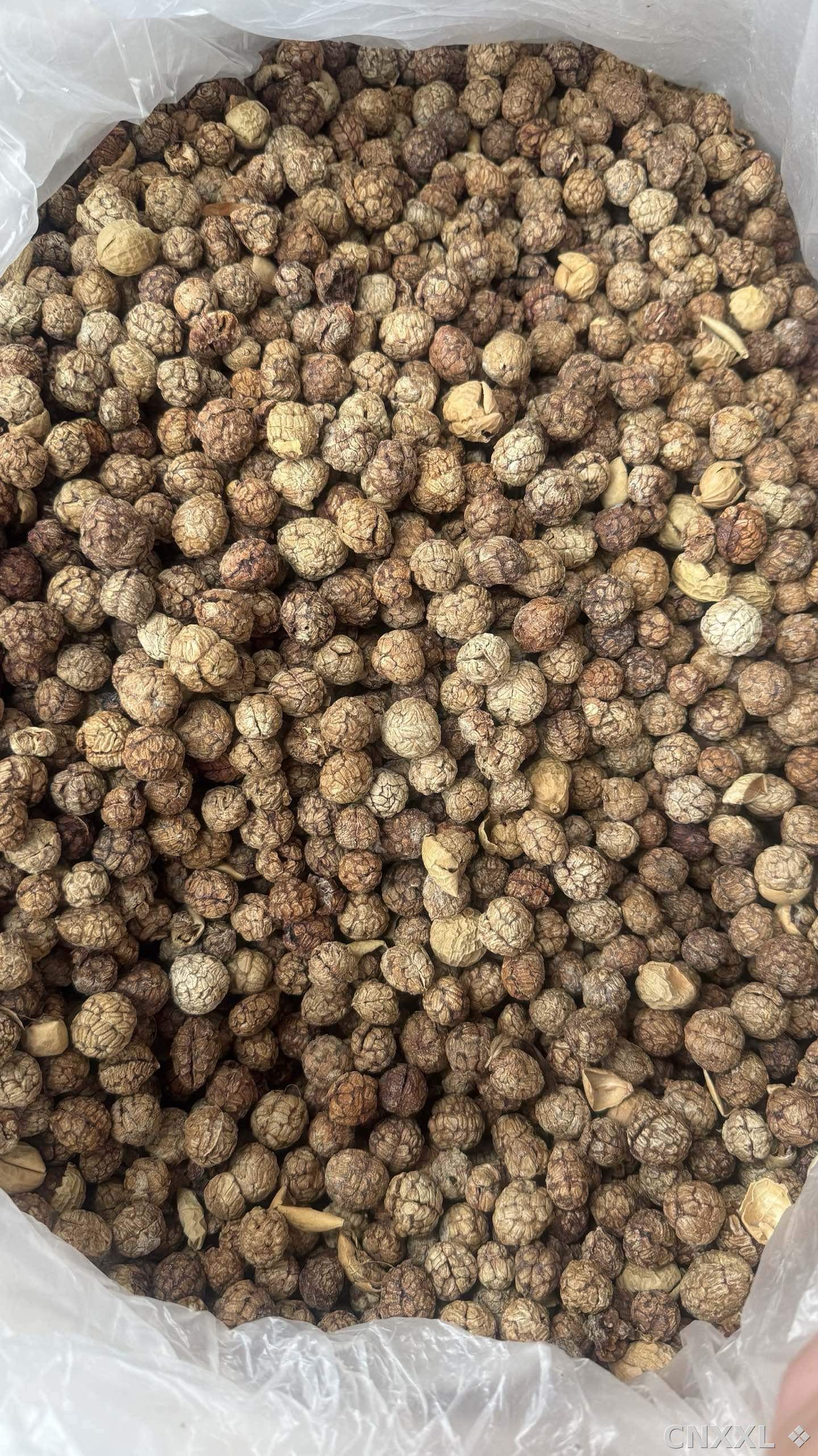 spice_2465021_9e4f5e5b_2.jpg