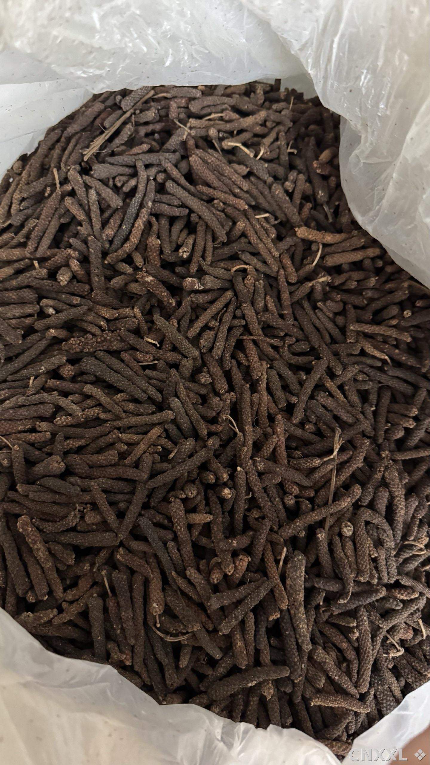 spice_26563_a49b6f56_3.jpg