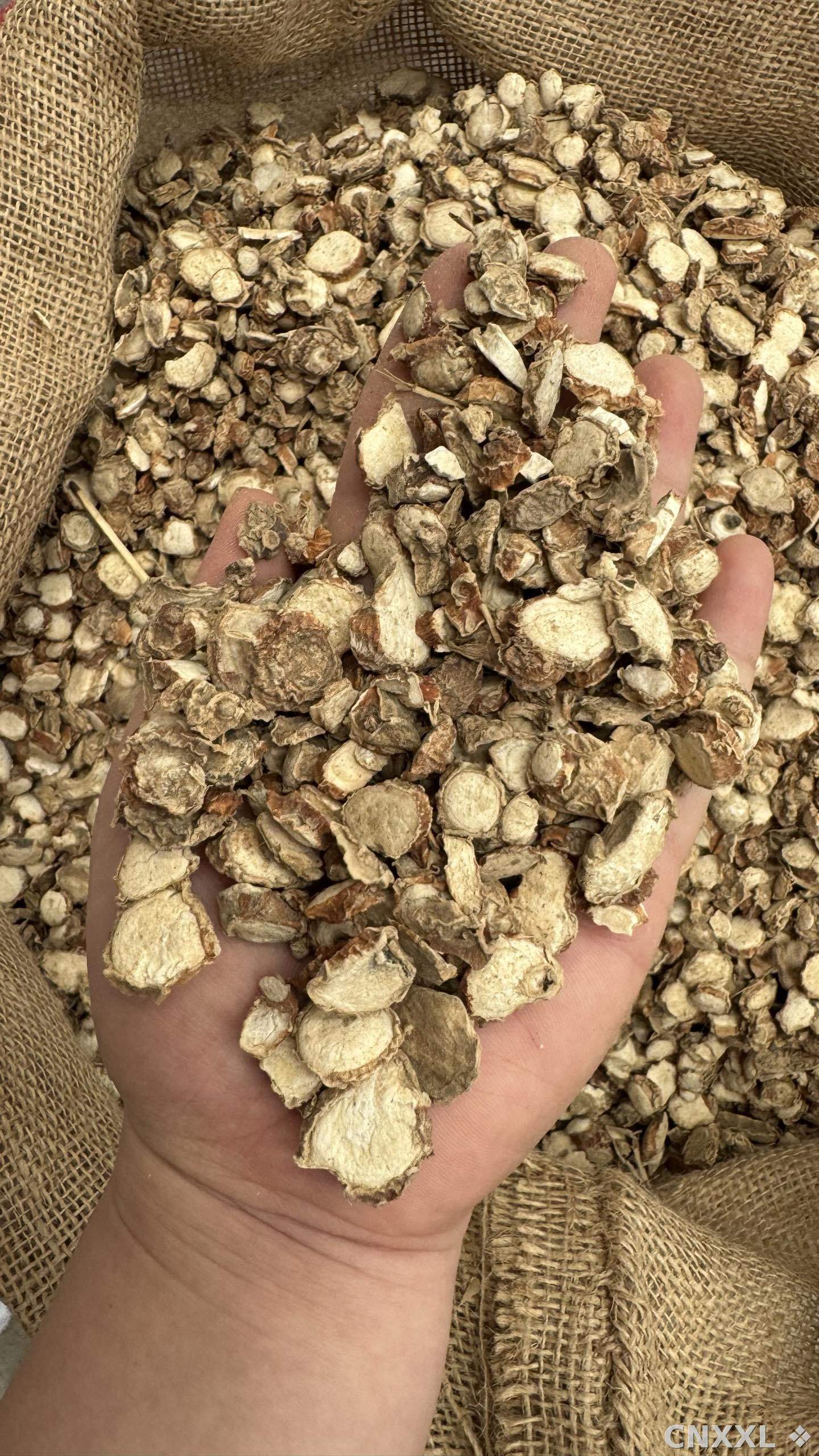 spice_2799204_c9e3b6db_2.jpg