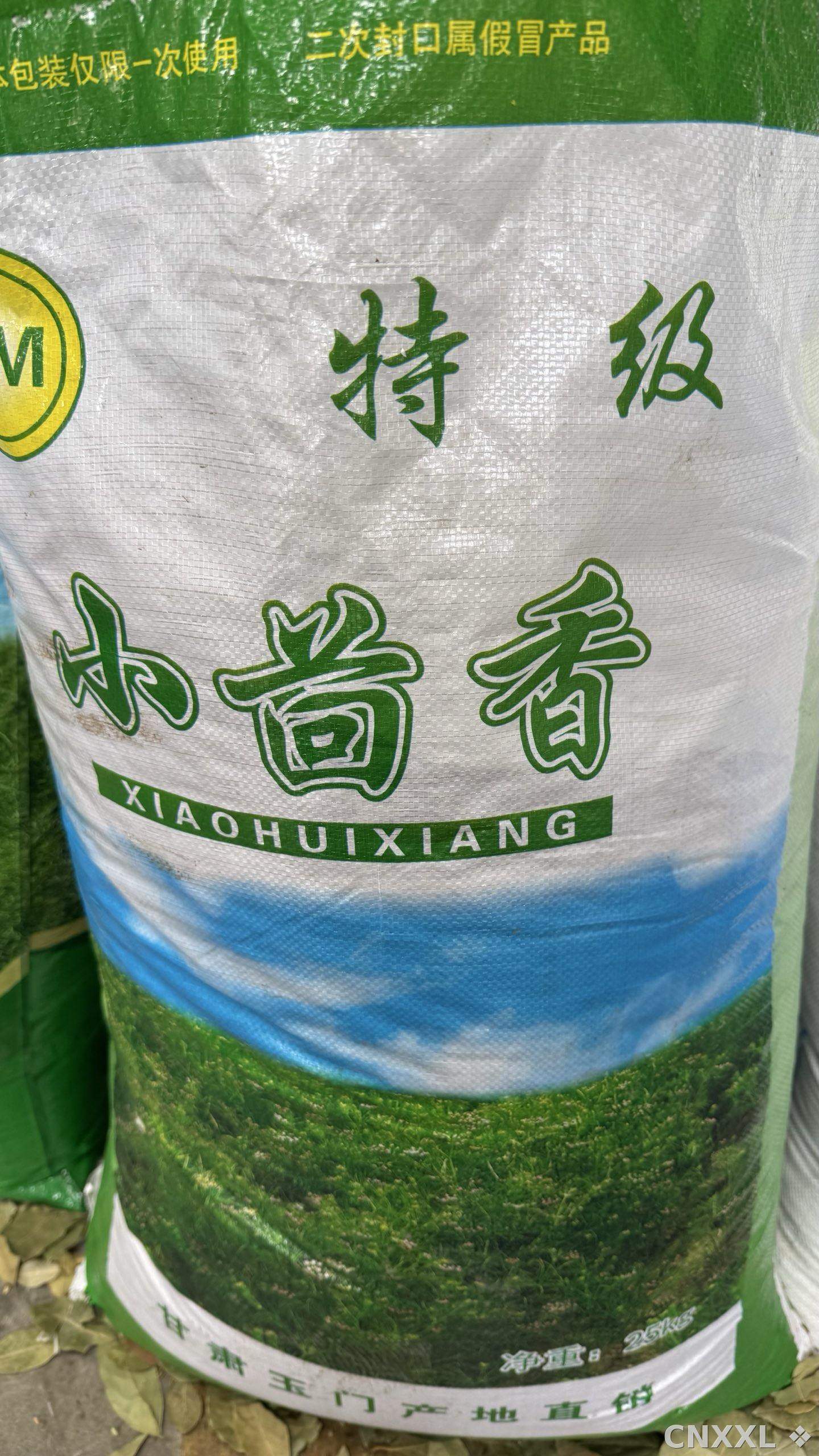 spice_2905689_a2d8728e_3.jpg