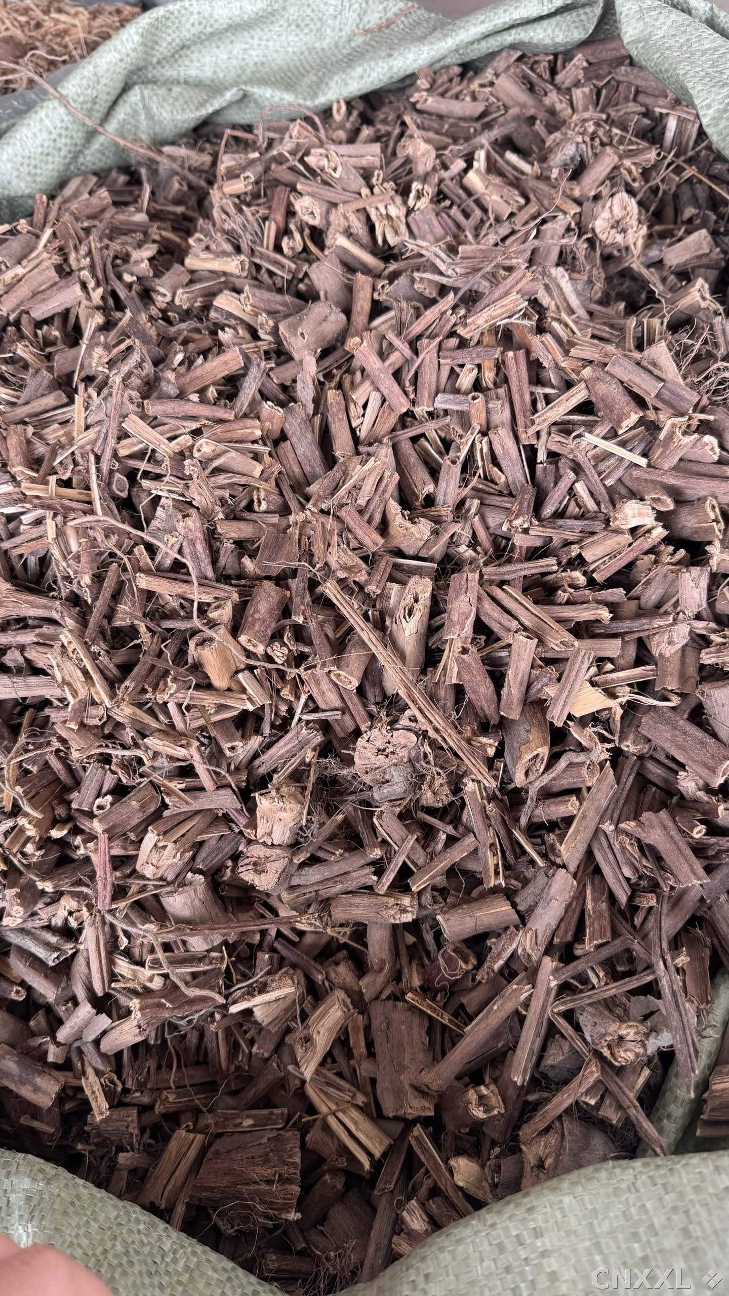 spice_2971598_4dfbed0f_3.jpg