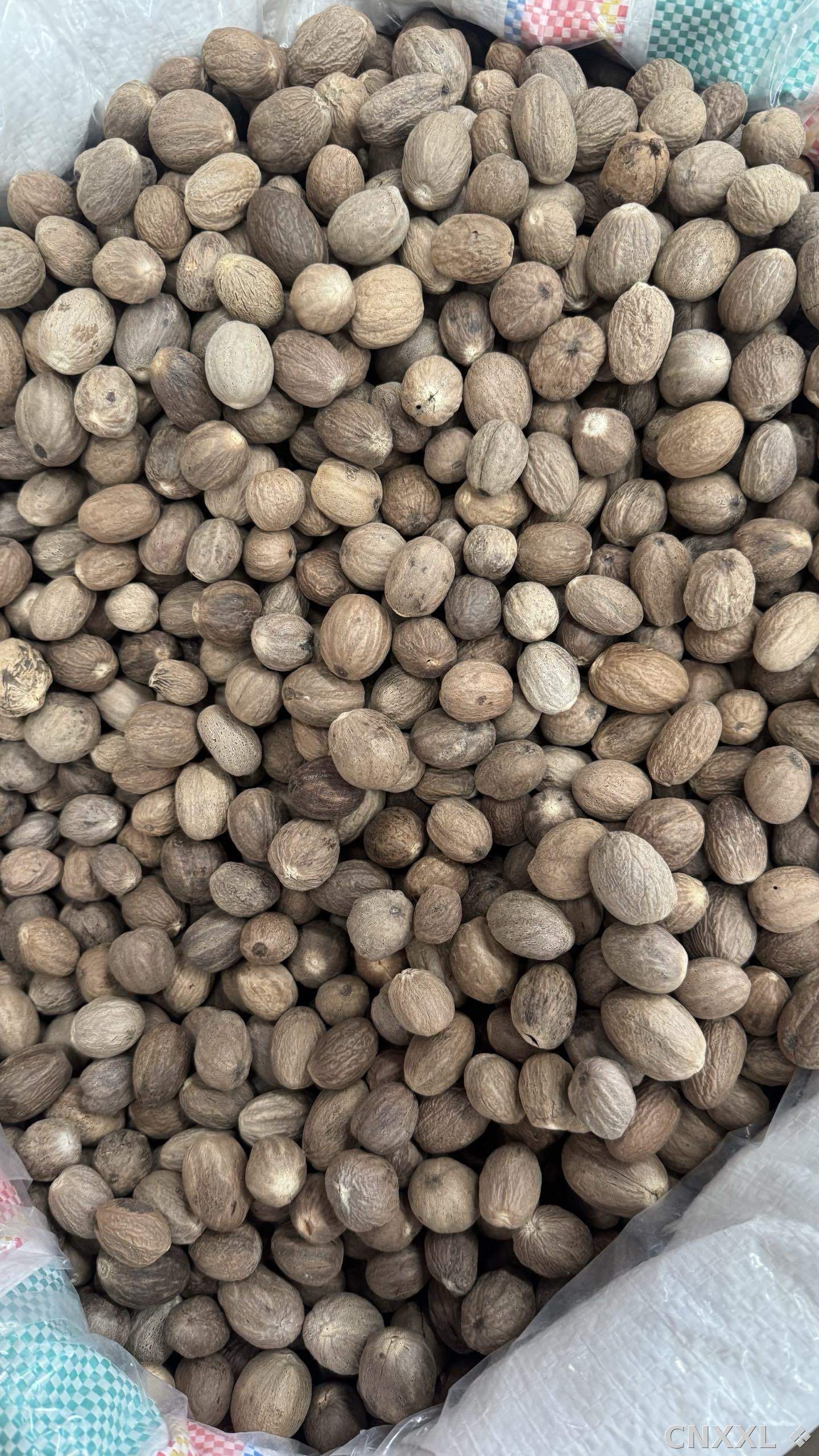 spice_3007175_ee24eeee_3.jpg
