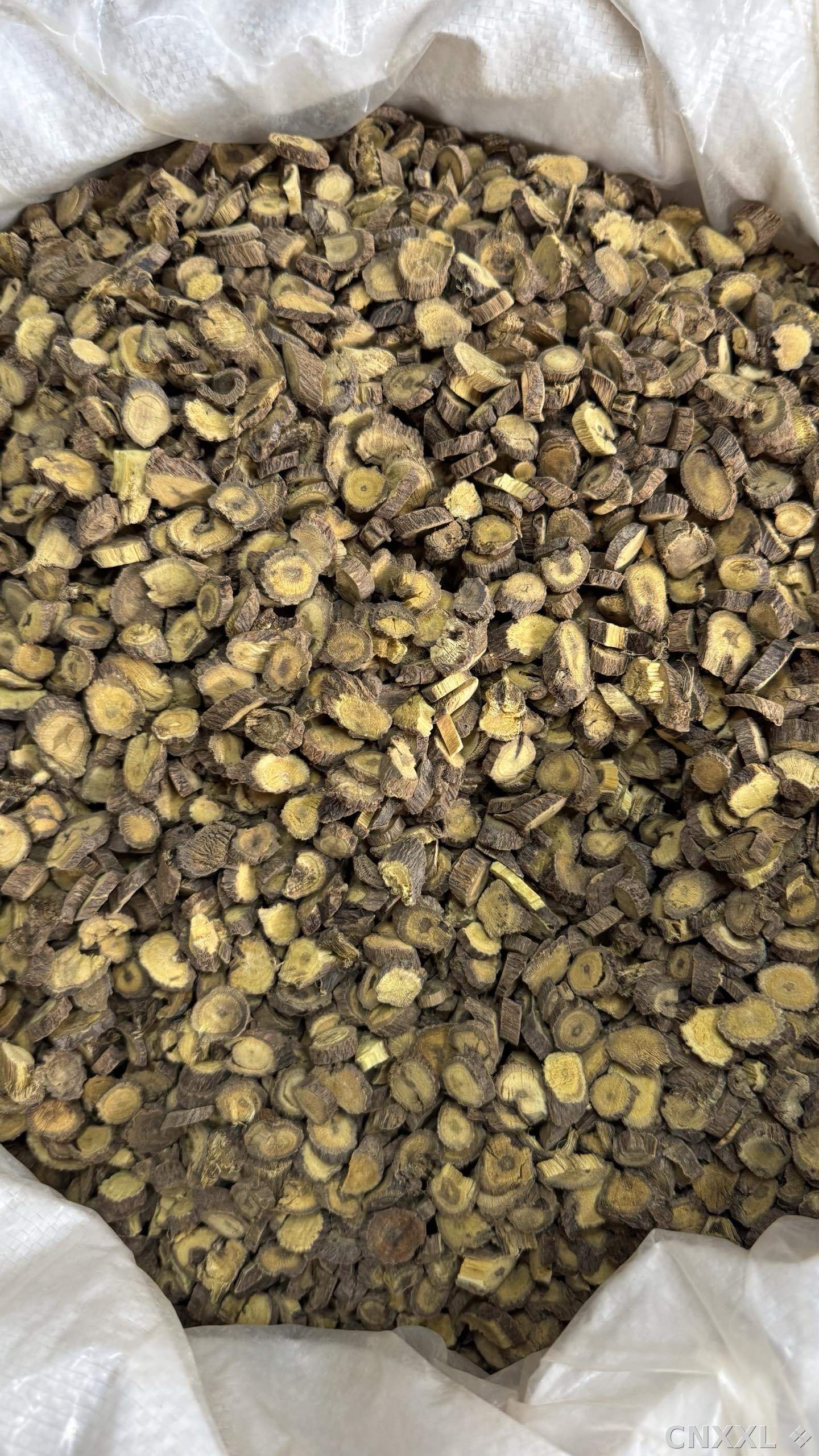 spice_3068079_3766c145_3.jpg