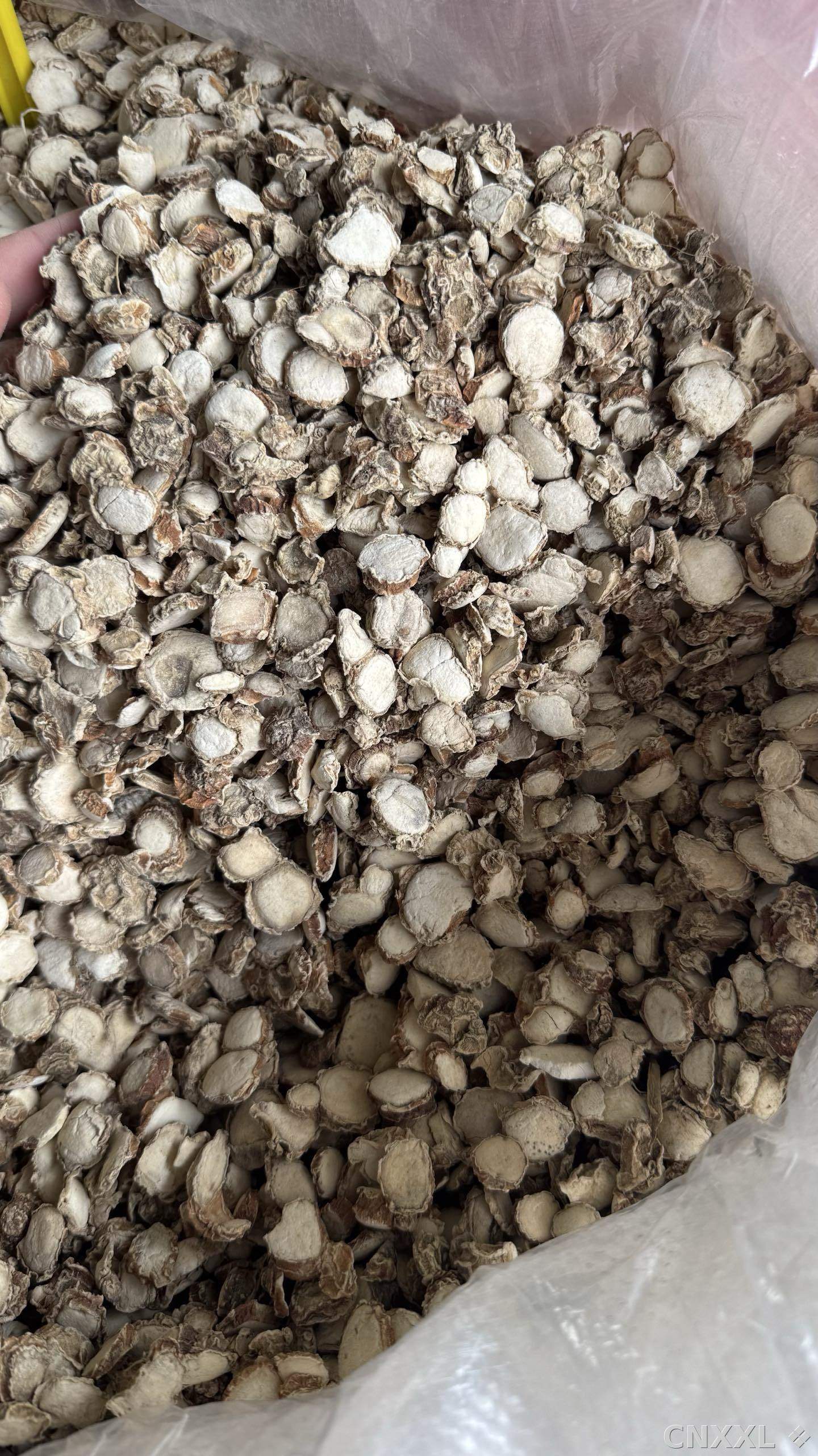 spice_3073155_9082ba65_3.jpg
