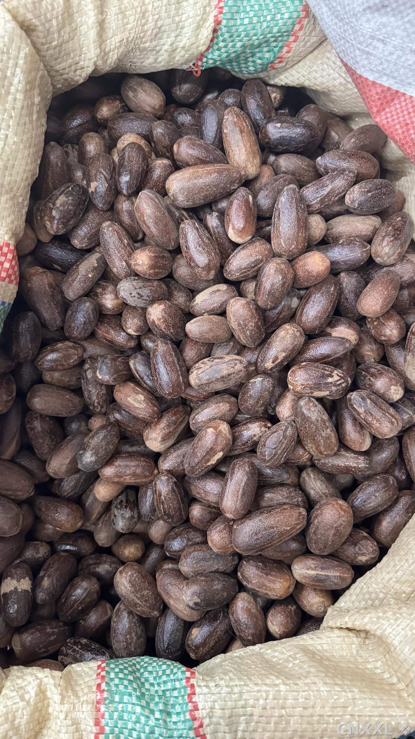 spice_3540620_606cc1d3_3.jpg