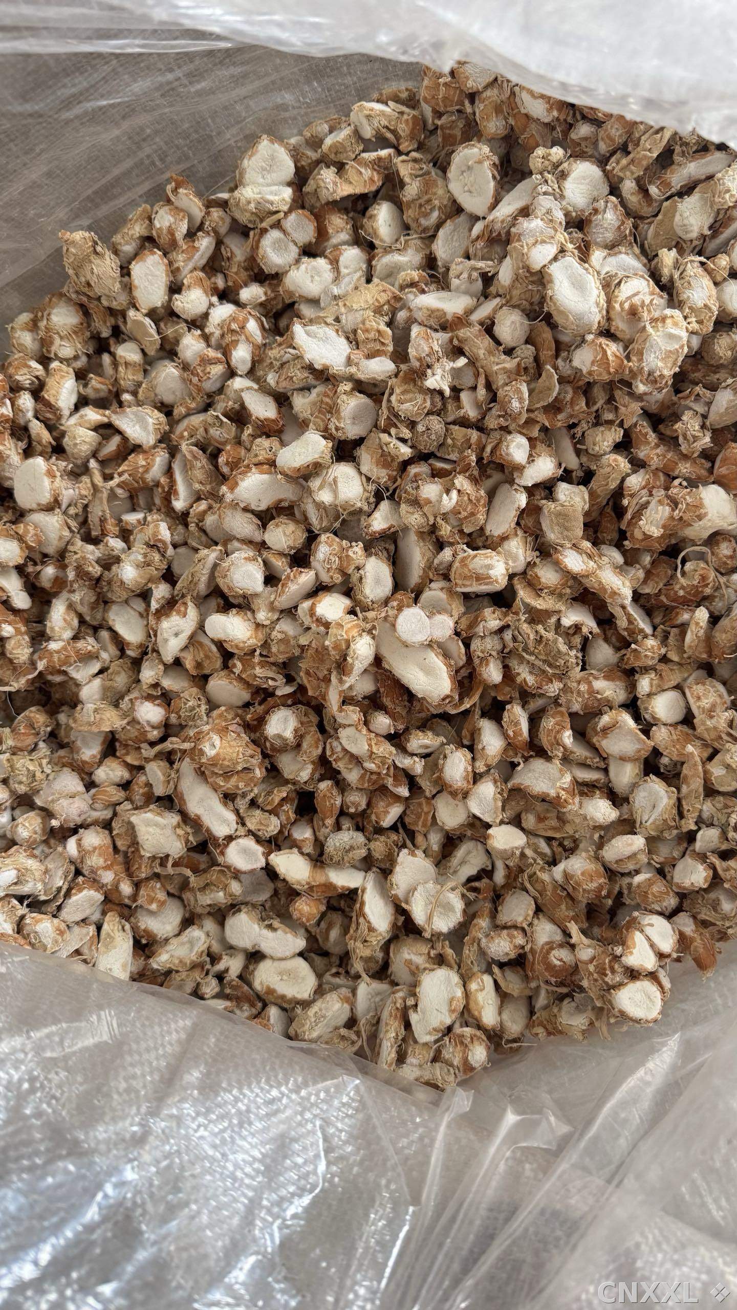 spice_3672740_1b78793a_3.jpg
