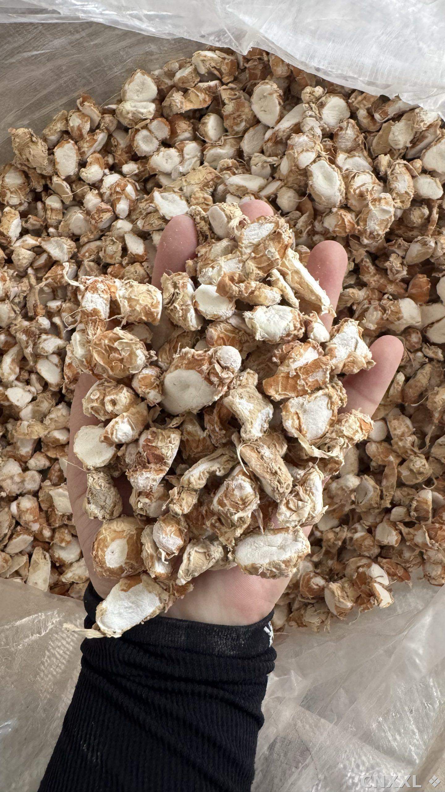 spice_3672740_4d50e00c_2.jpg