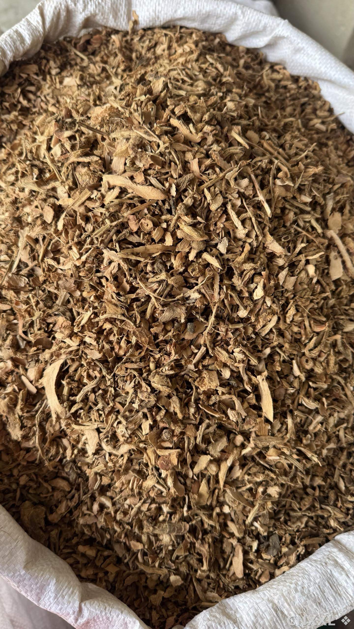 spice_3677844_13a99c12_3.jpg