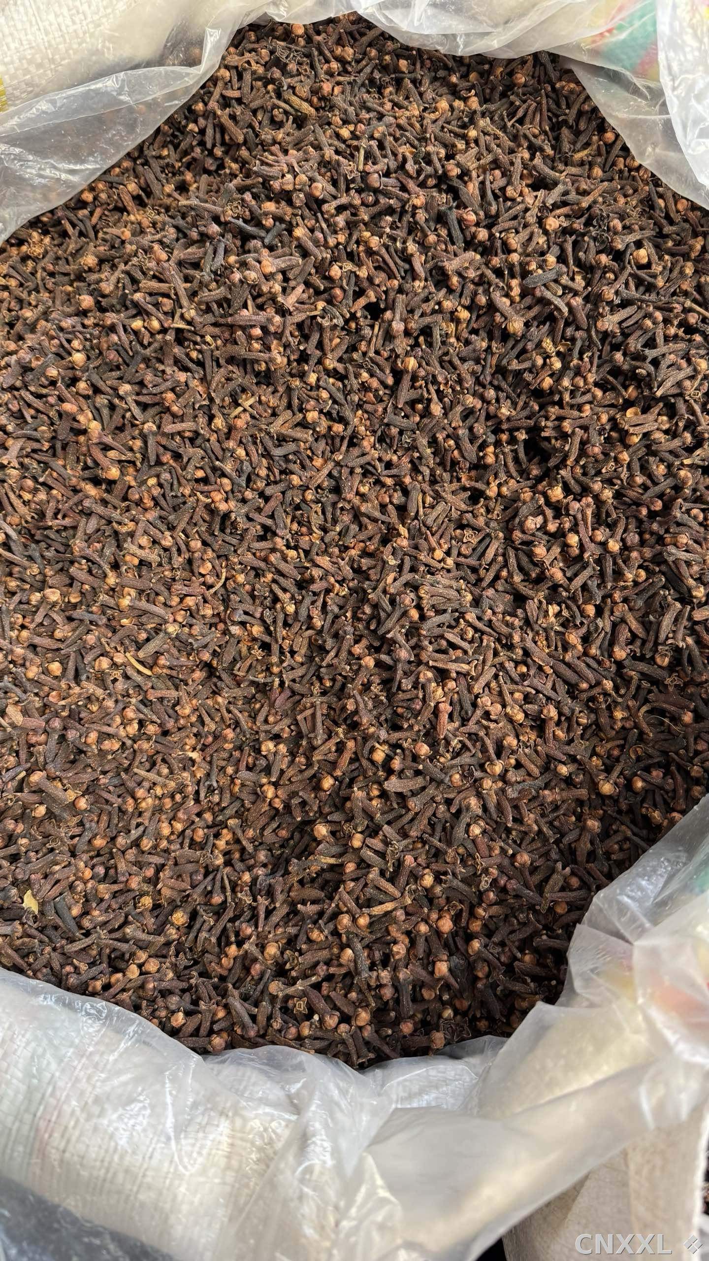 spice_3682919_0b37e4b7_3.jpg