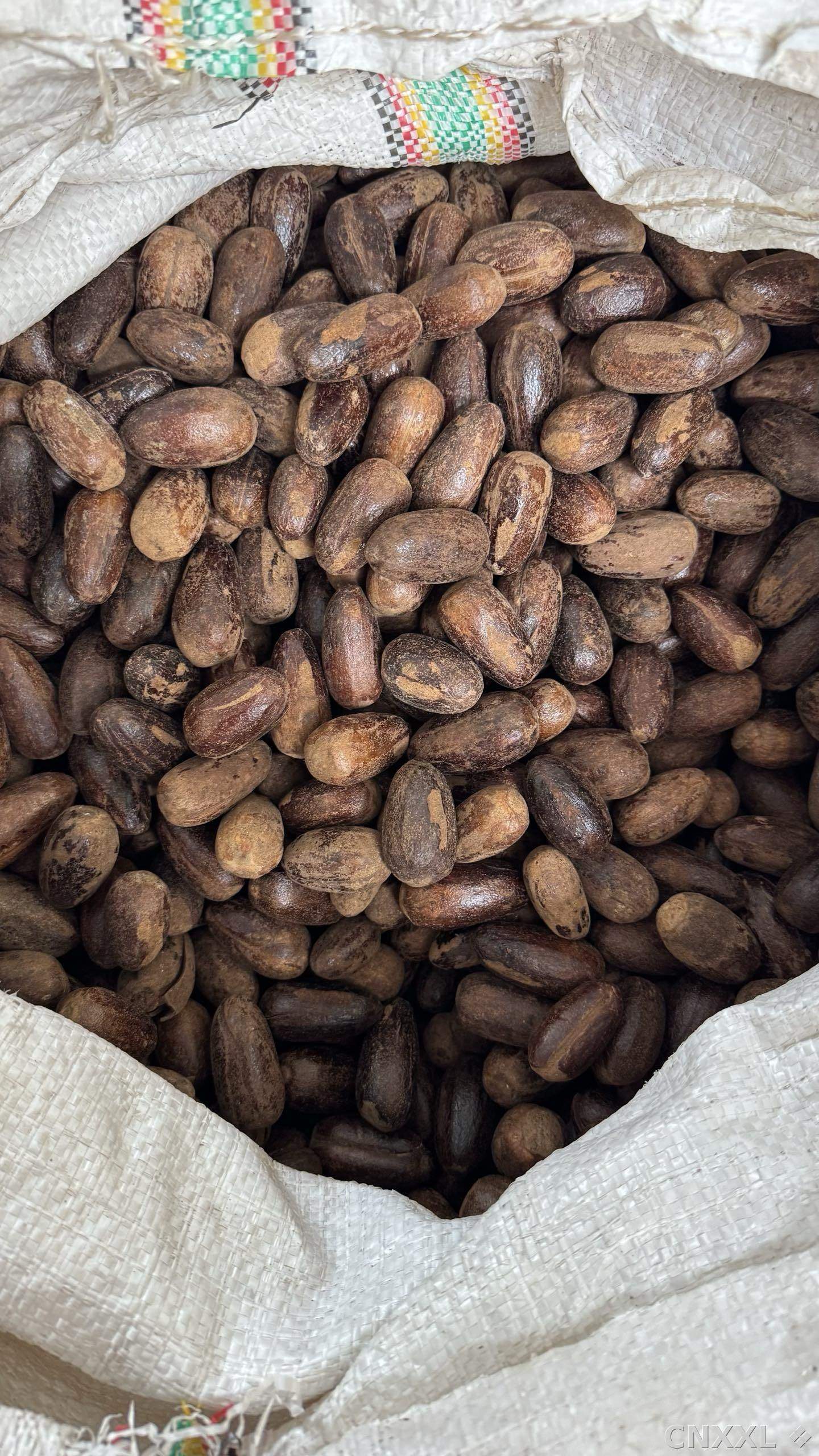spice_3708358_ff5b2f6d_2.jpg