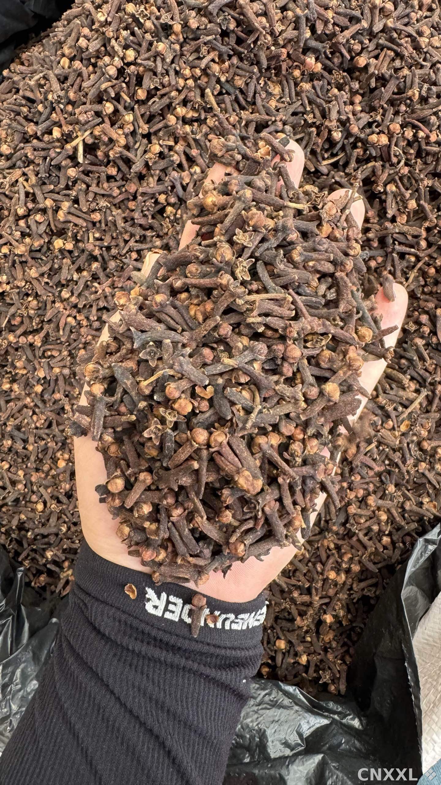 spice_3708360_084d1fdf_2.jpg