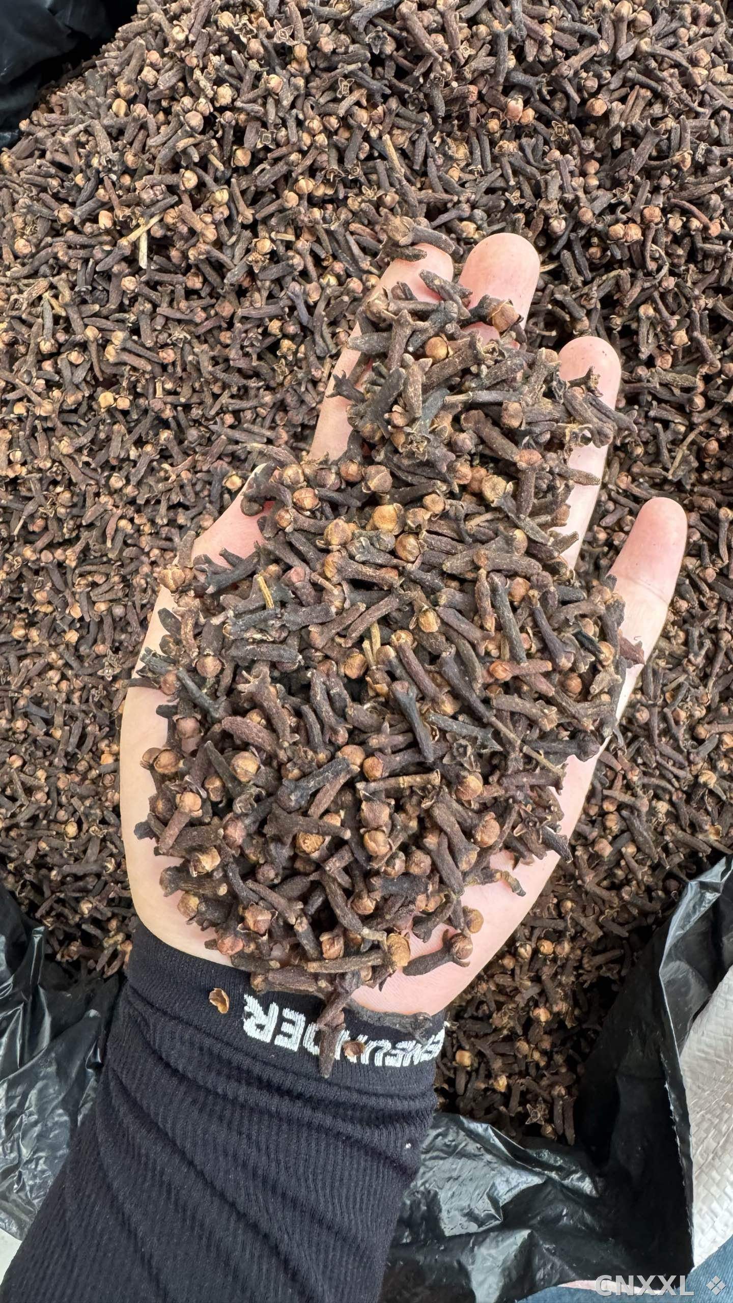 spice_3708360_2c8b8ad3_1.jpg