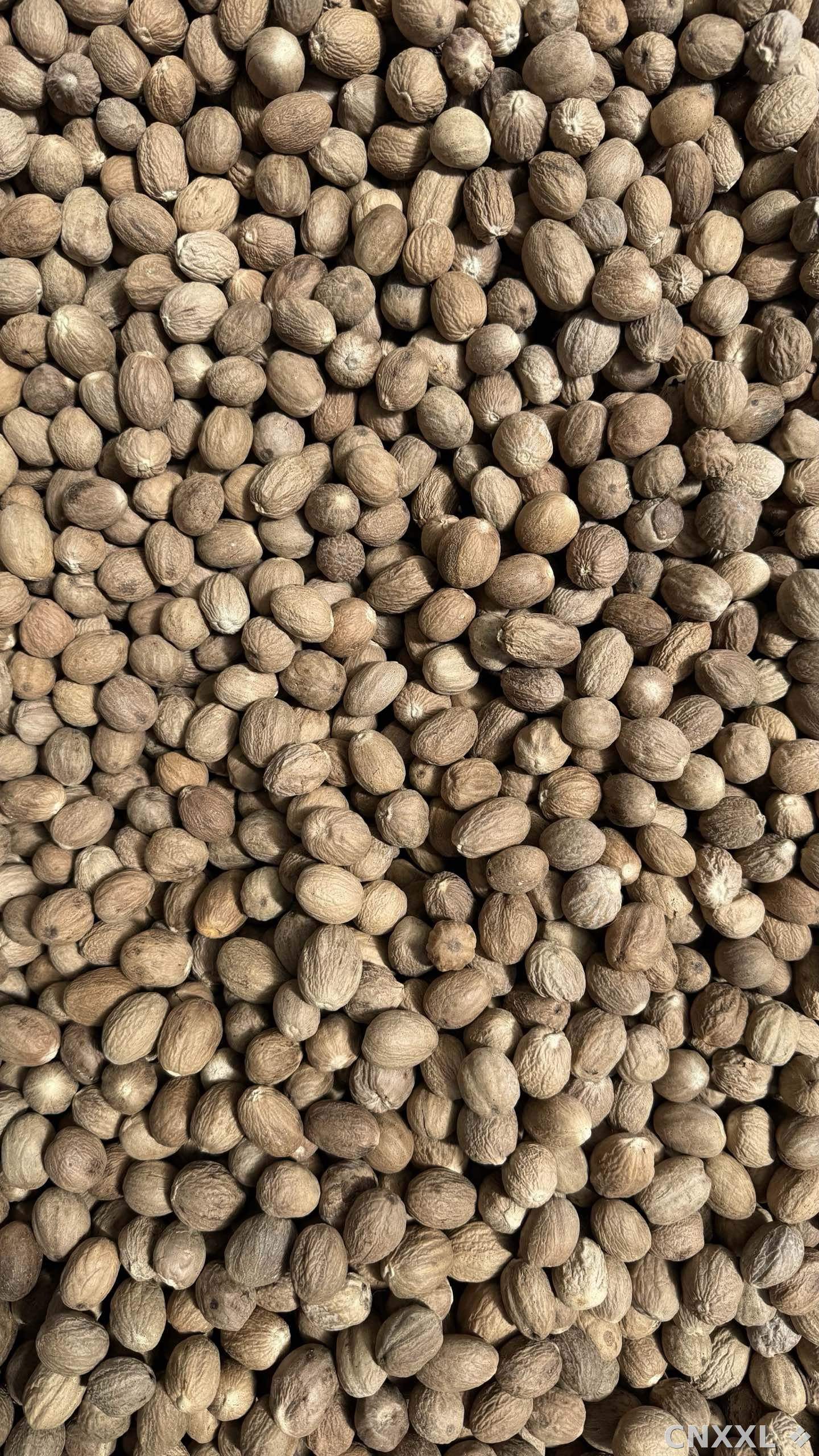 spice_372652_7114556a_3.jpg