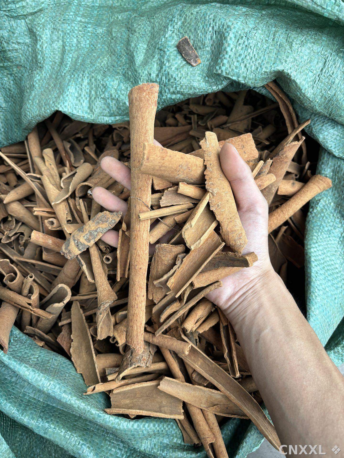 spice_3779671_e7b306f6_2.jpg