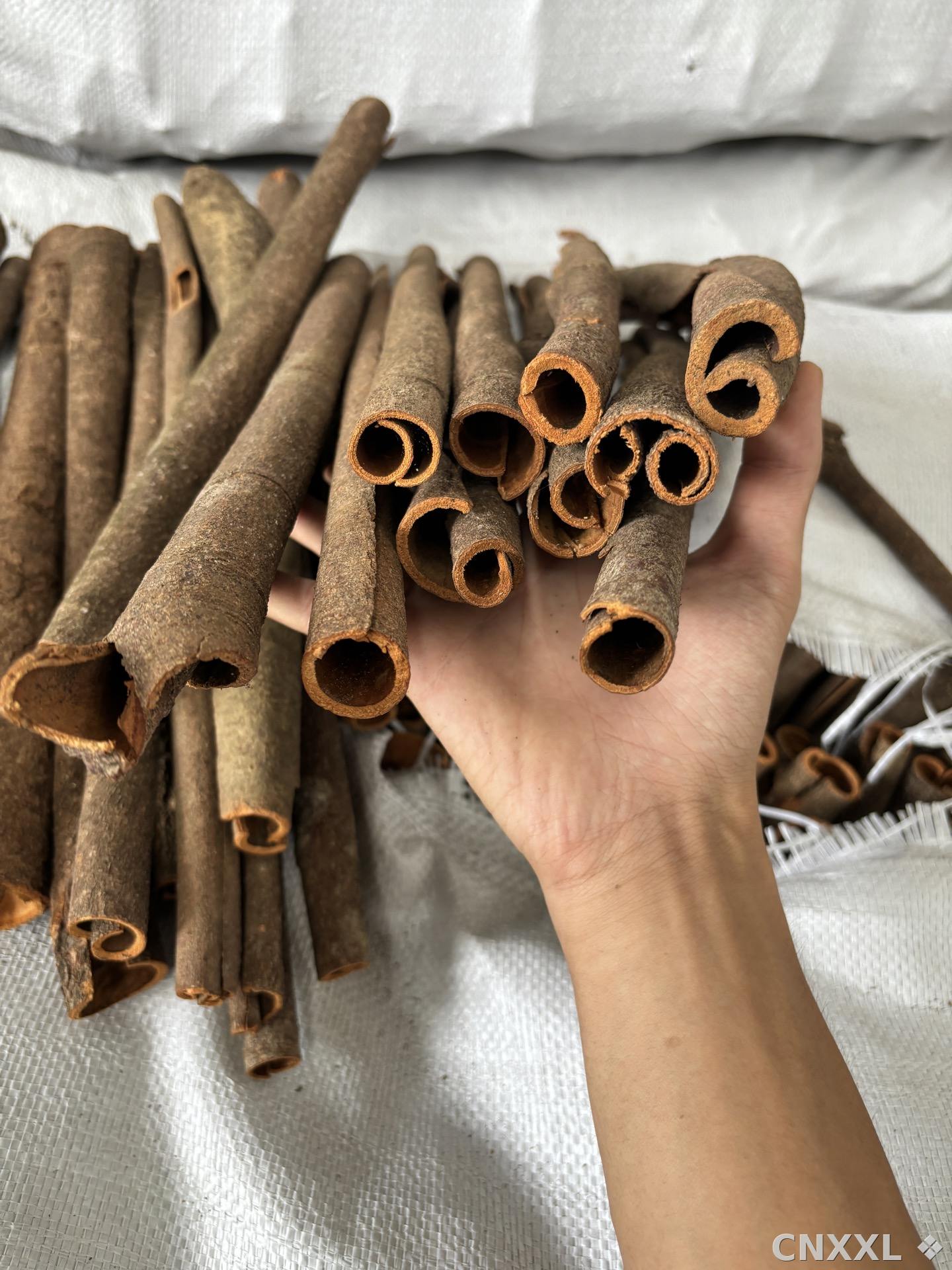 spice_3856193_c0fc0efa_2.jpg
