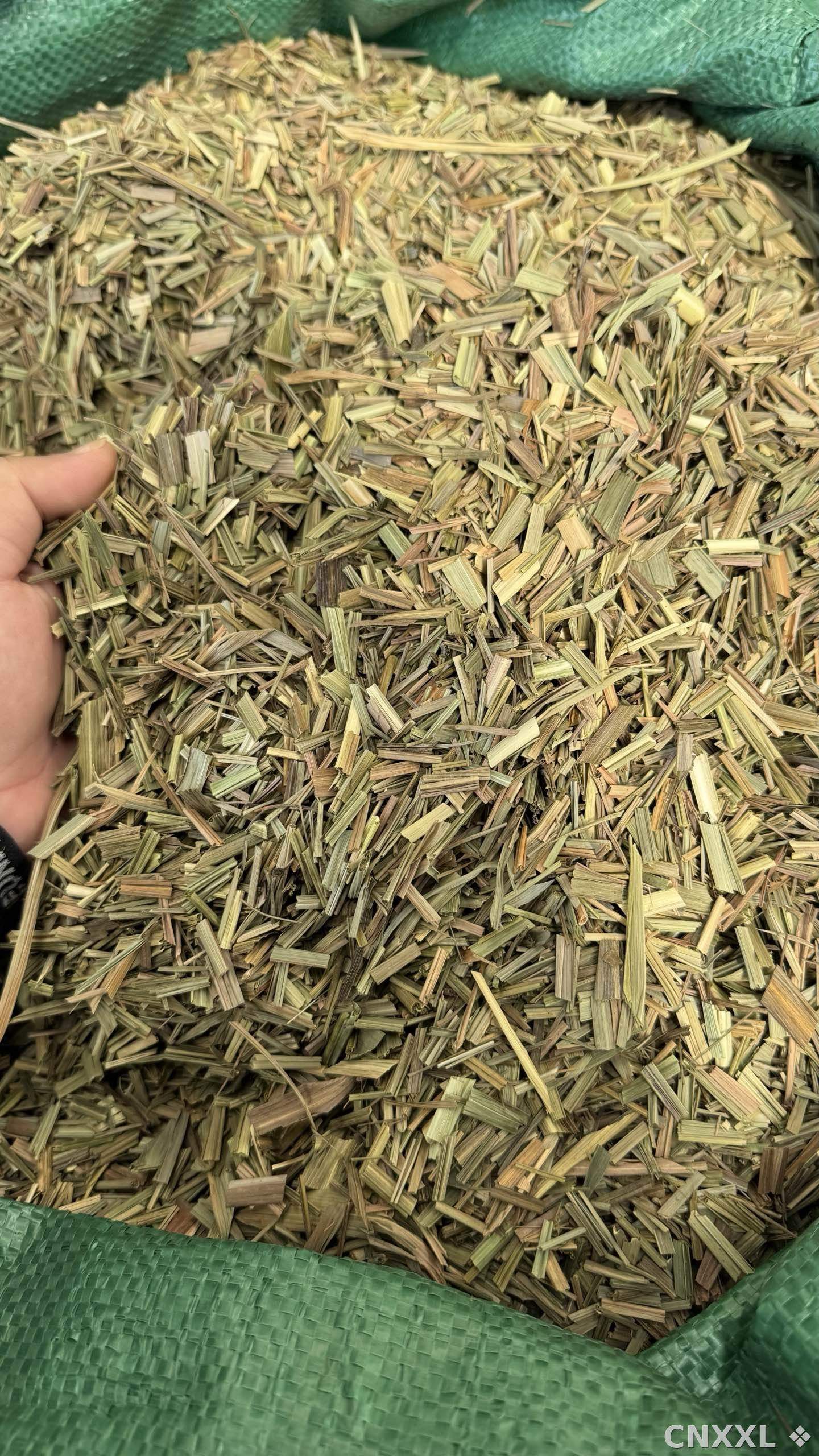 spice_3881713_ccd00b8a_1.jpg