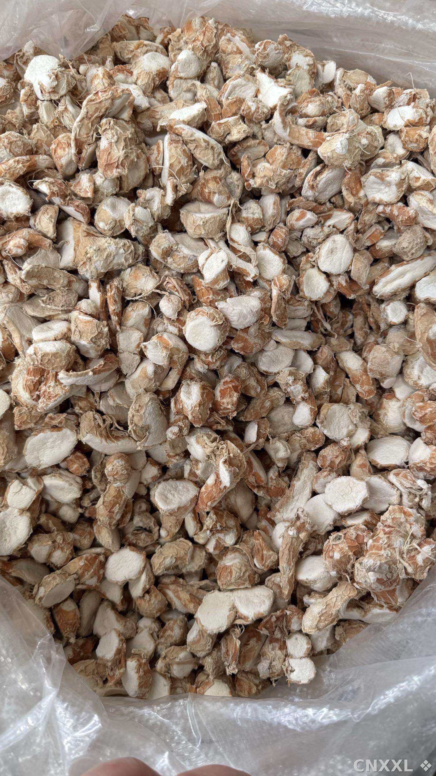 spice_3881719_42d33d52_2.jpg