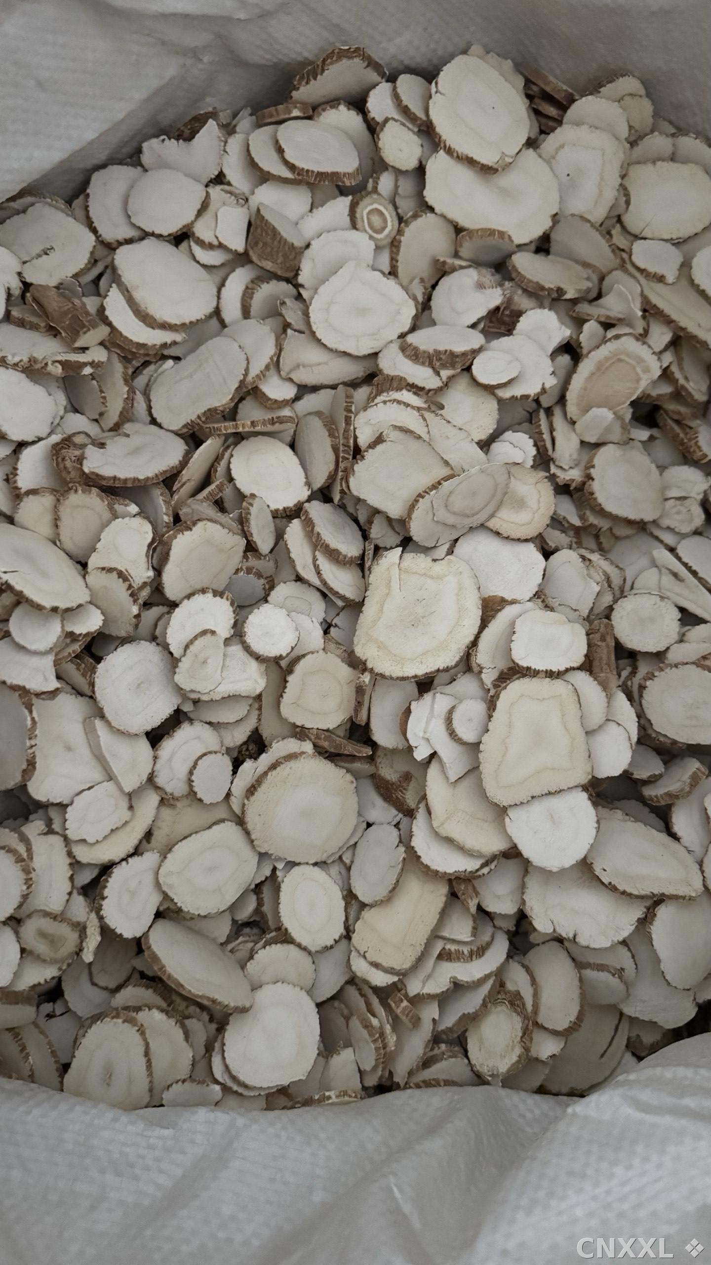 spice_3891904_f16c5e00_3.jpg