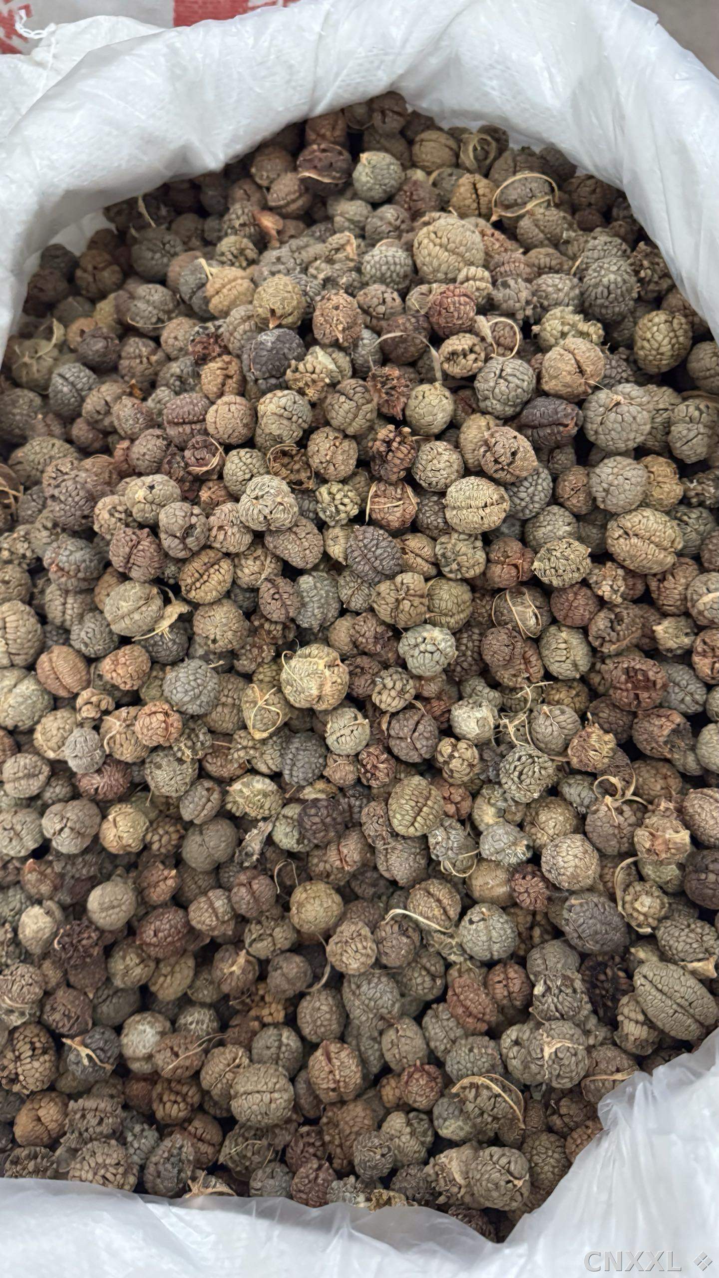 spice_3983829_f63c73ef_3.jpg