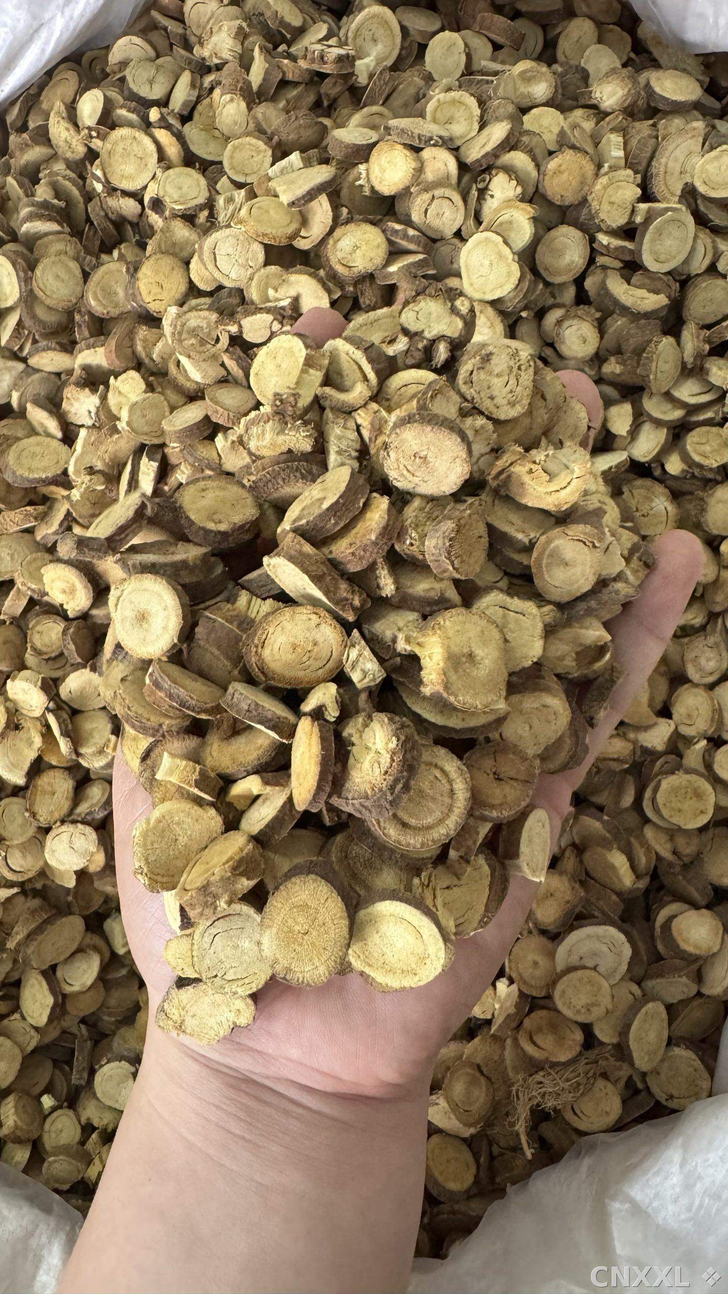 spice_4244328_d615c59a_1.jpg
