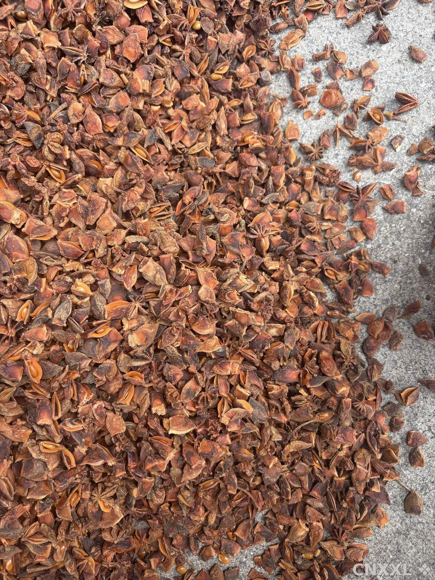 spice_4280524_00bbf971_3.jpg