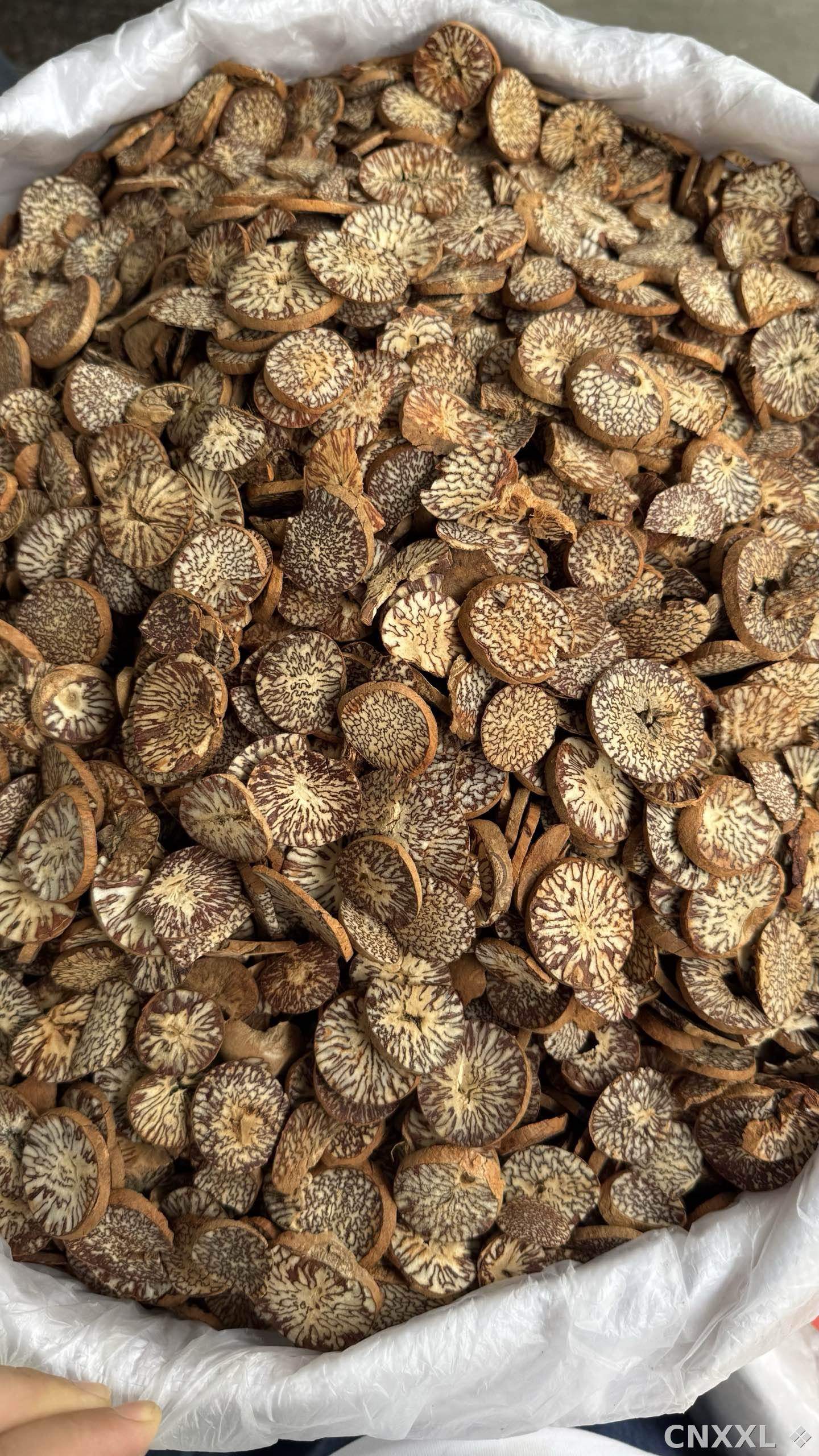spice_4377500_b6b9bccc_3.jpg