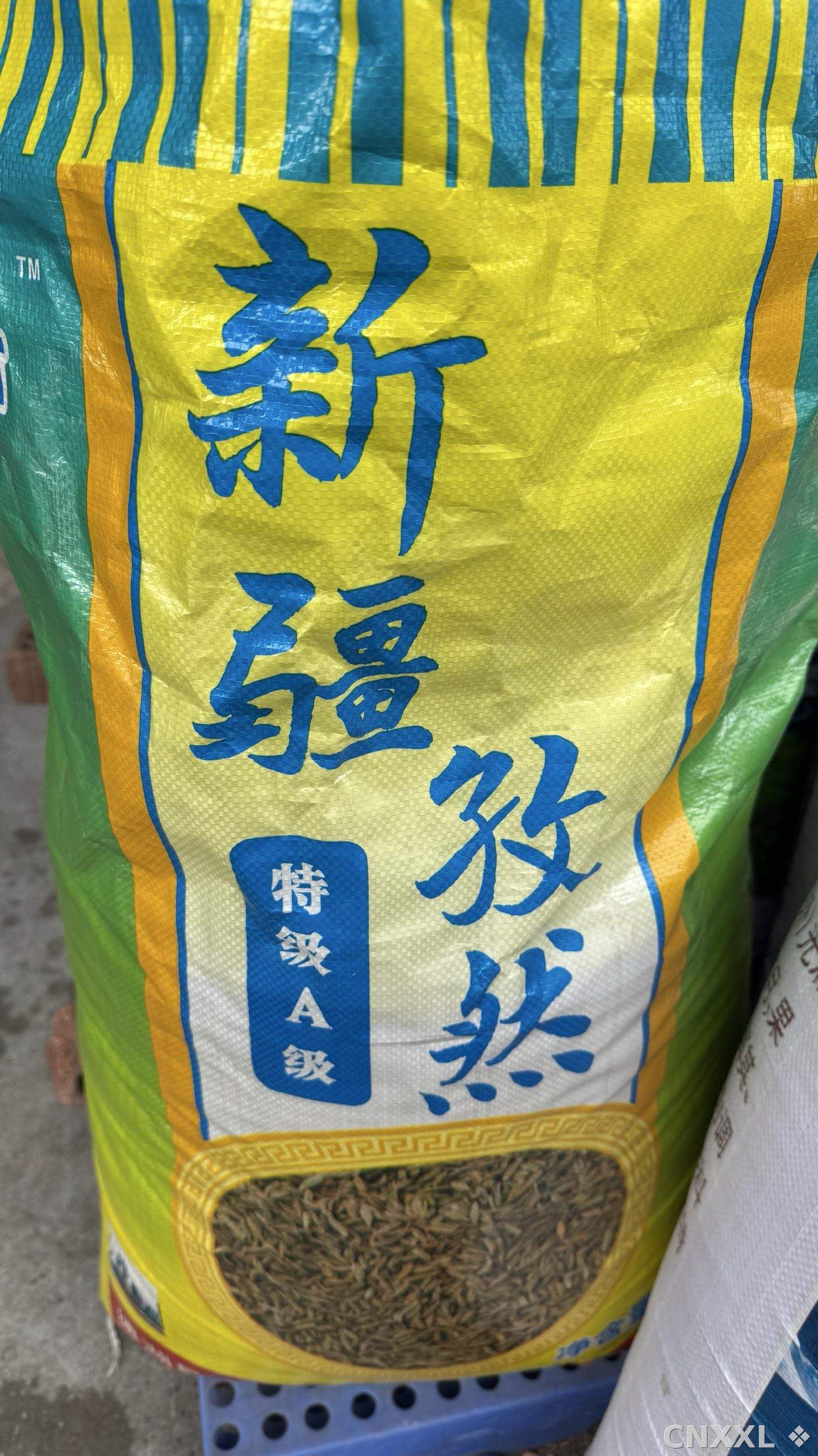 spice_4377502_879fd61a_3.jpg