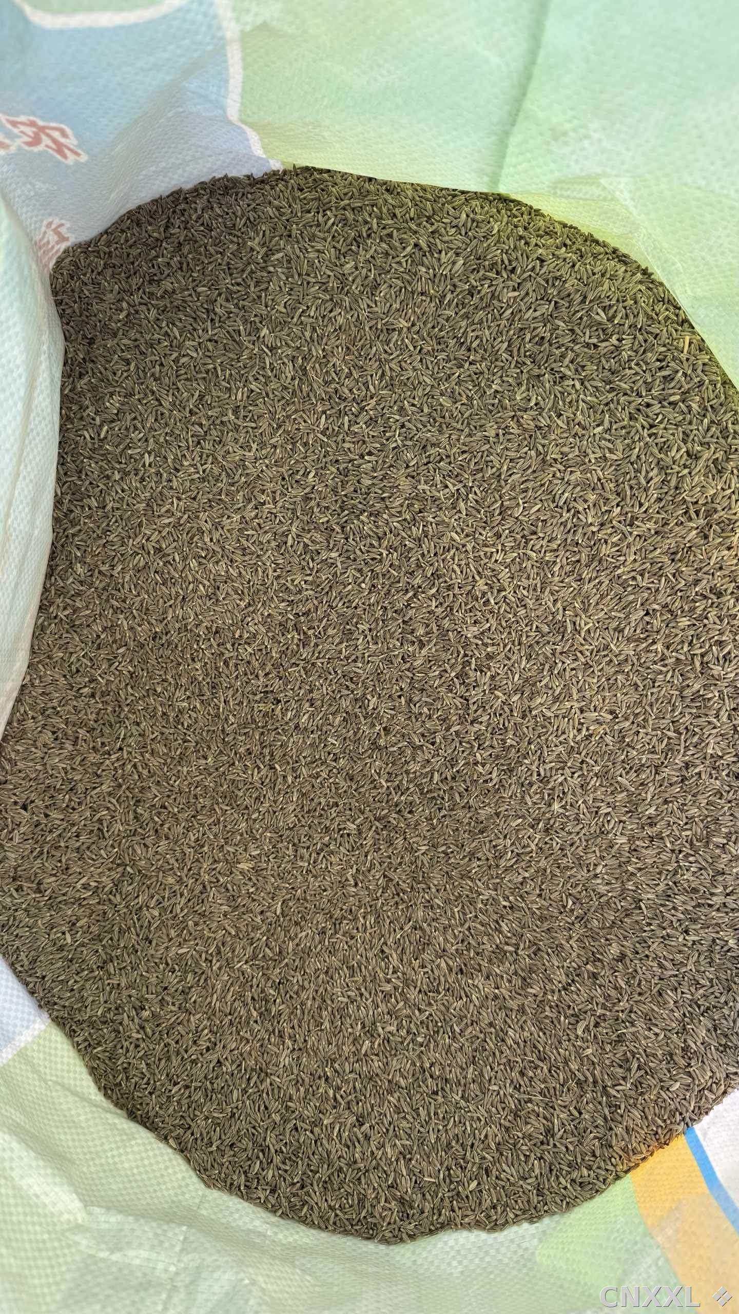 spice_4377502_e84be3f1_2.jpg