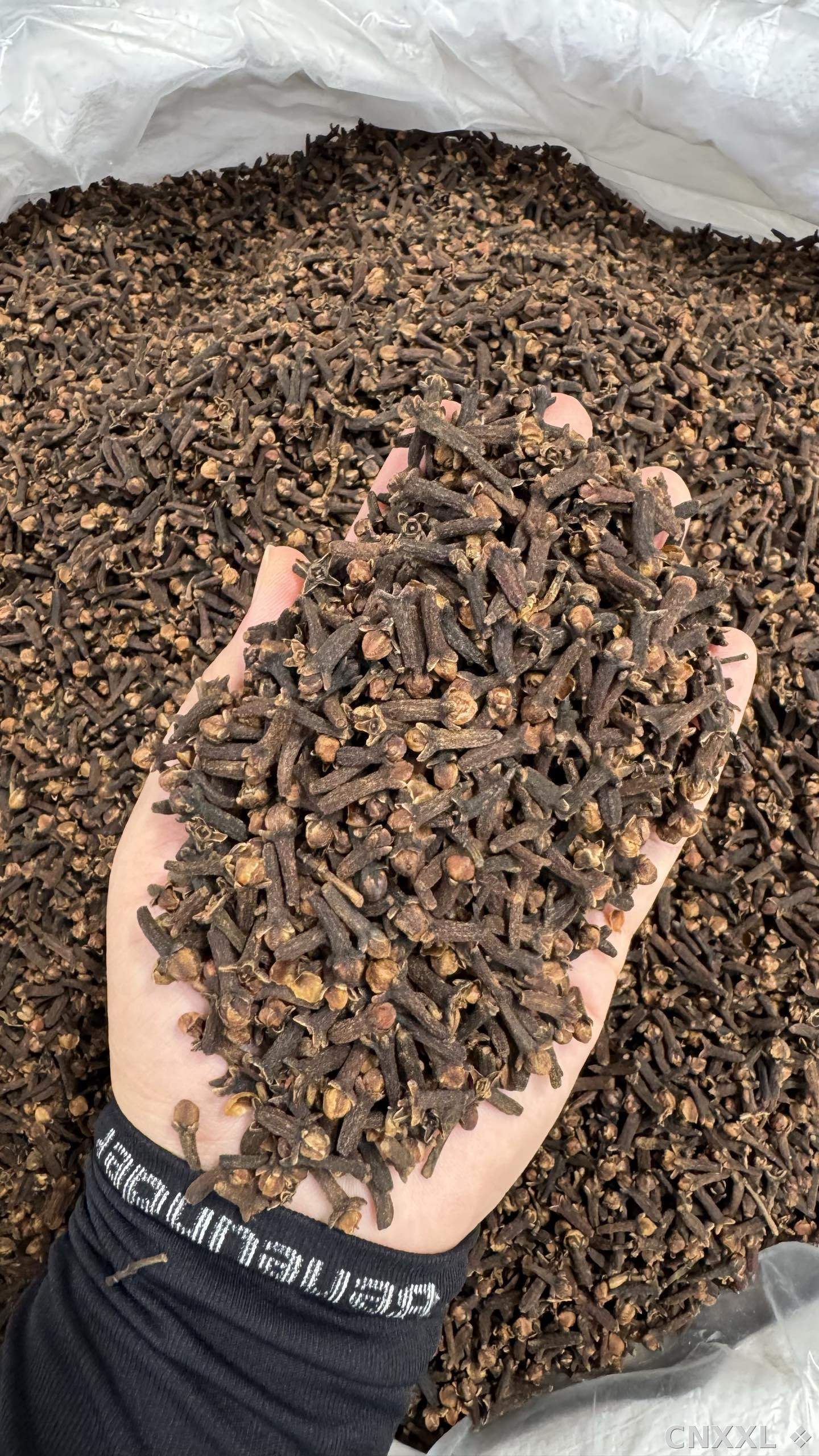 spice_4515512_eb240ce0_2.jpg