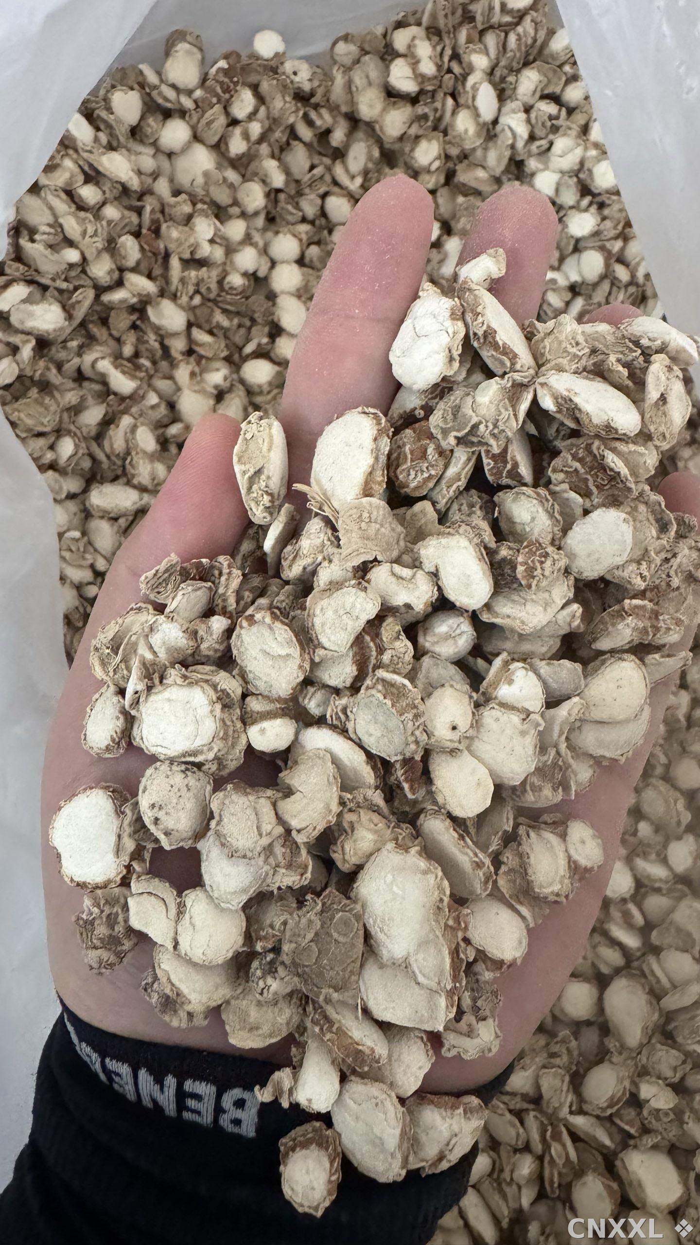 spice_4576867_41b13f50_2.jpg