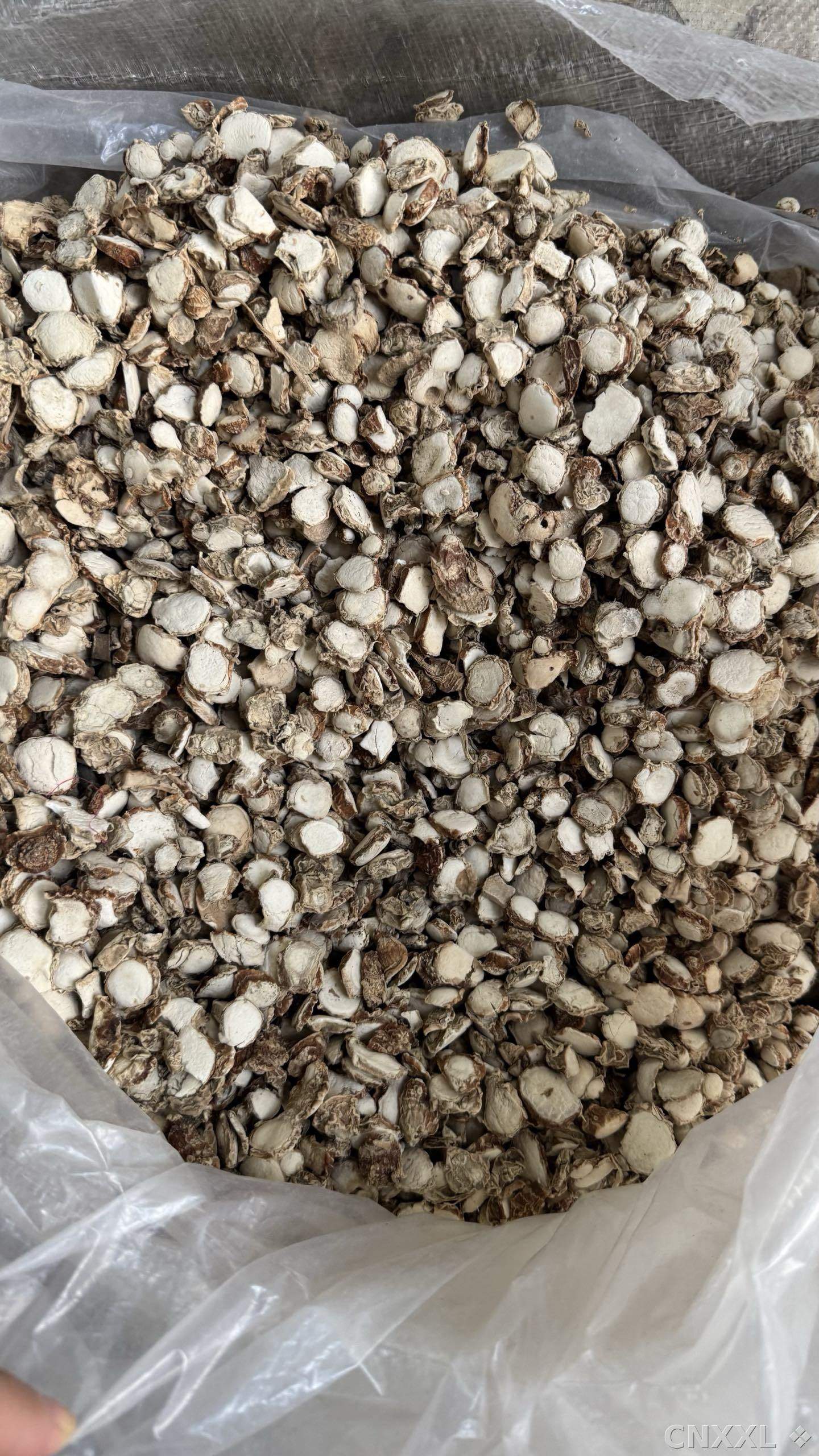 spice_4581984_89ec2742_2.jpg