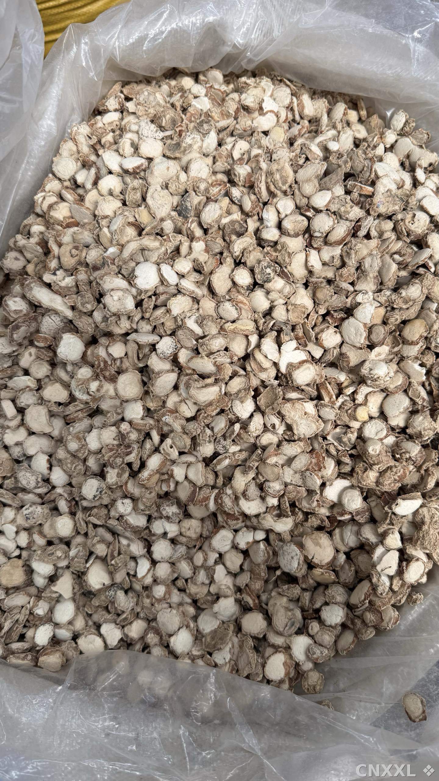 spice_4587103_8104a5ee_3.jpg