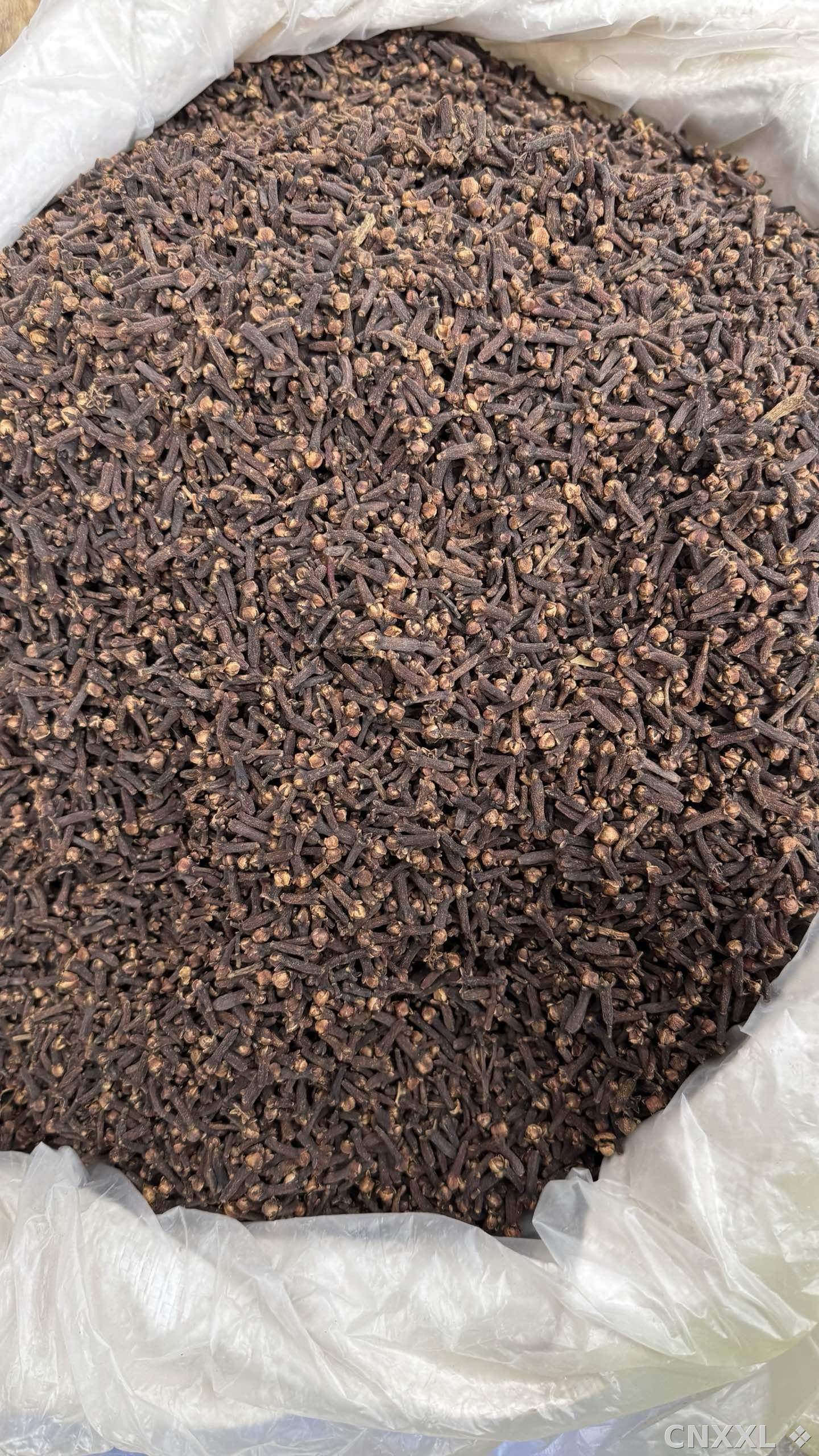 spice_4587104_909cb384_3.jpg