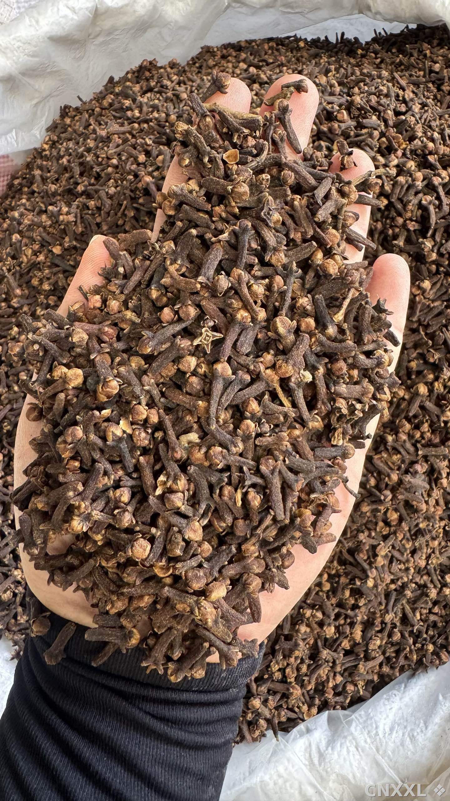 spice_4786697_3aa74c62_1.jpg