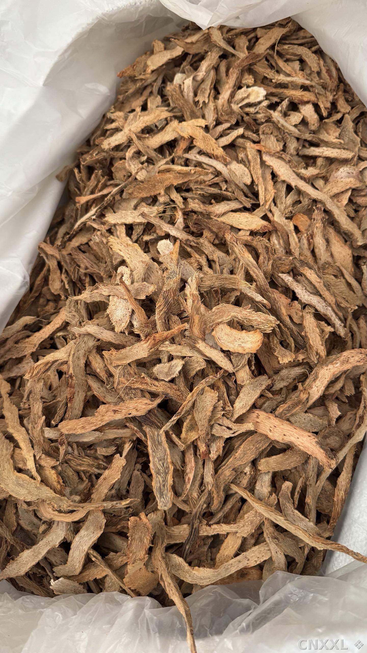 spice_4843122_bfbca25e_3.jpg