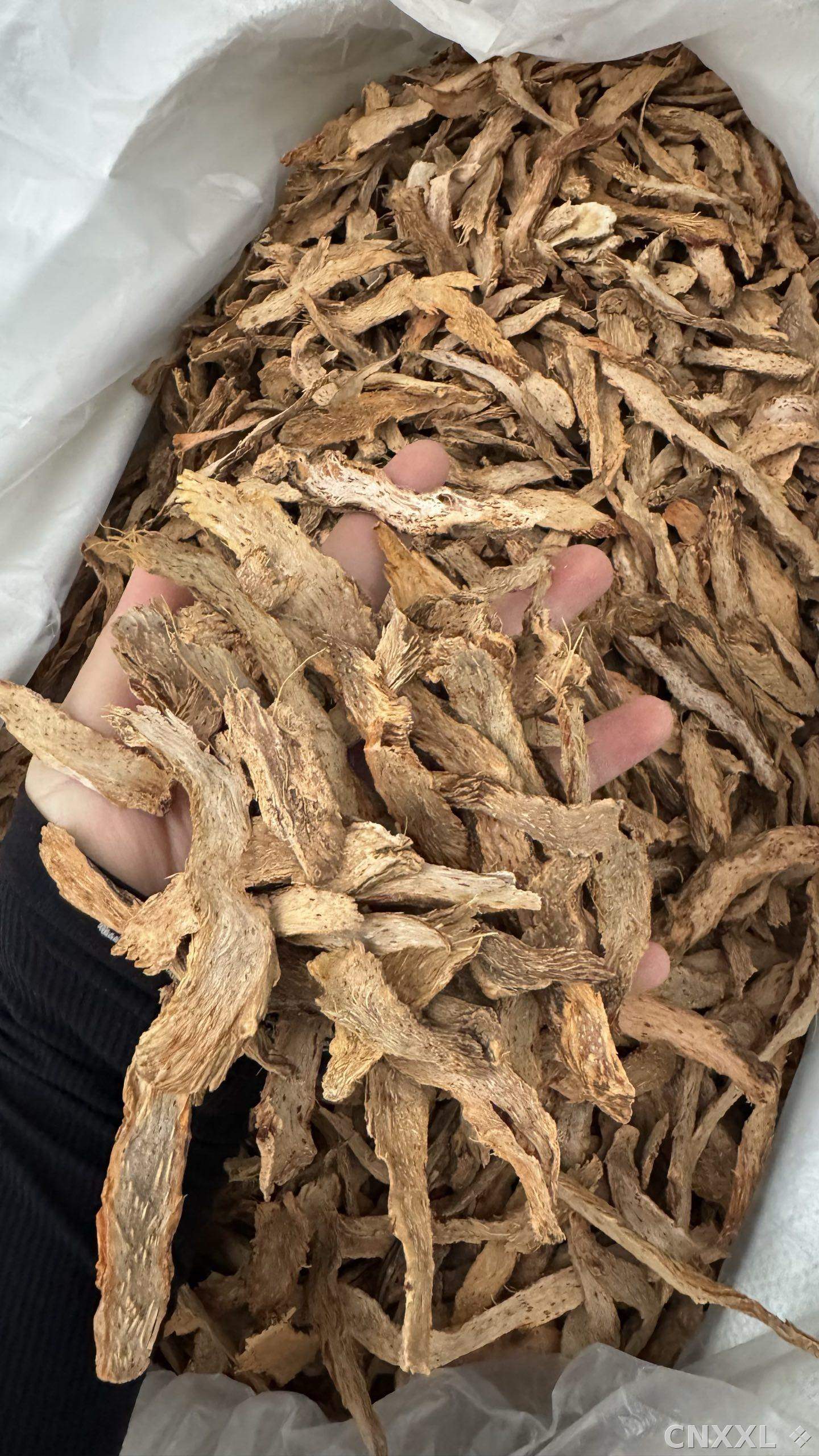 spice_4843122_d72ae0b9_2.jpg