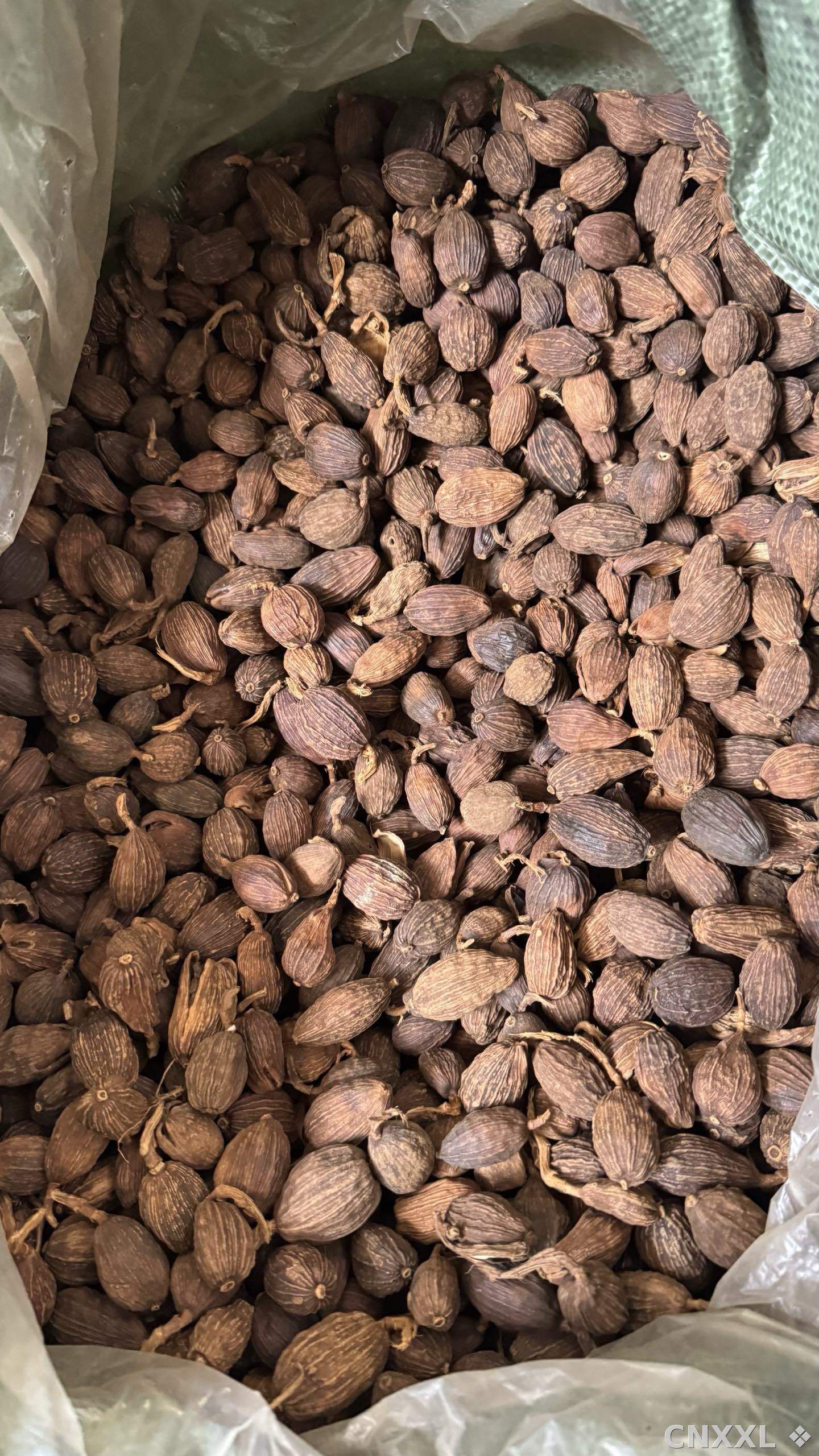 spice_4889282_fd8c1c67_2.jpg