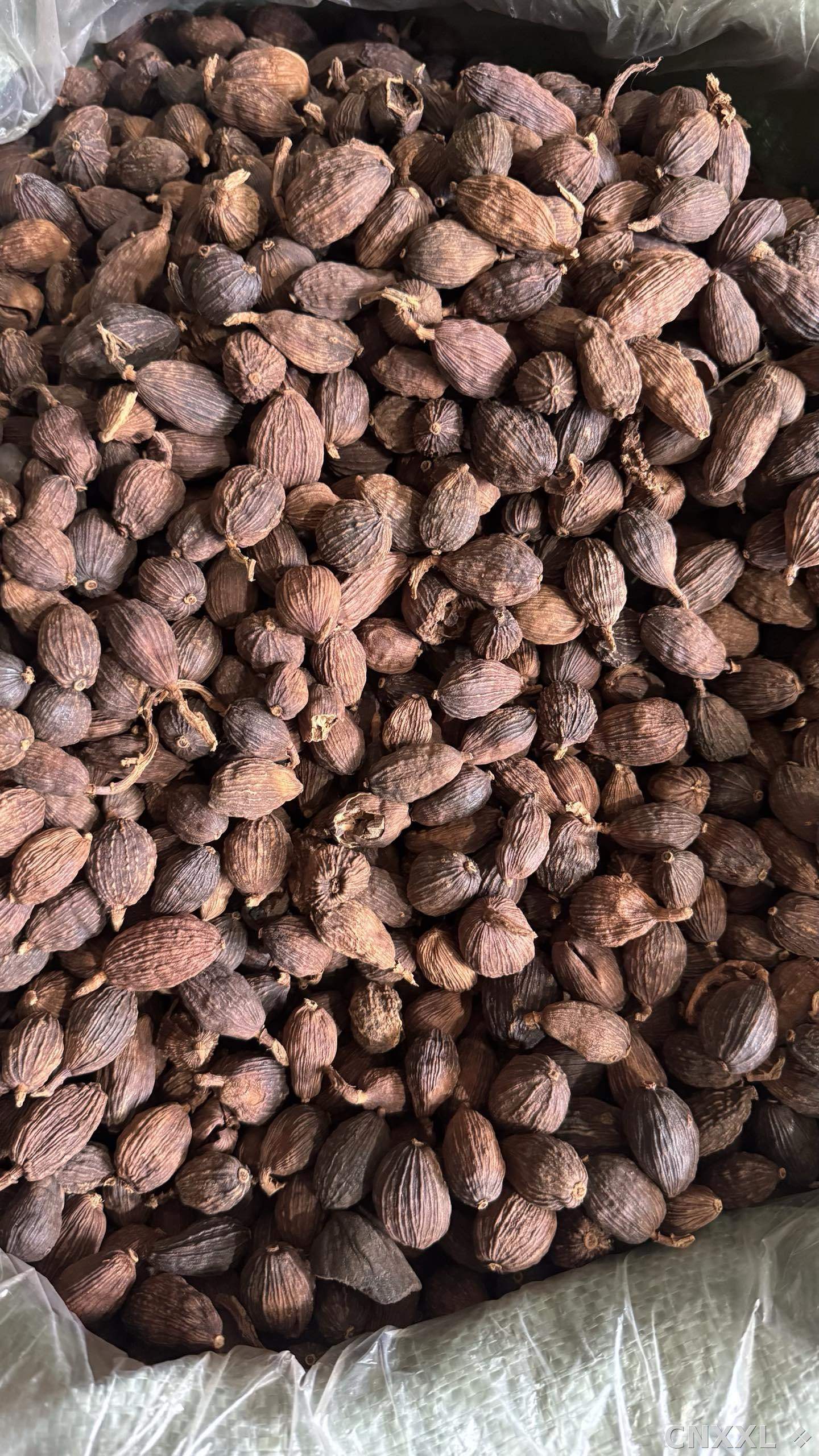 spice_4894413_c9c22464_3.jpg