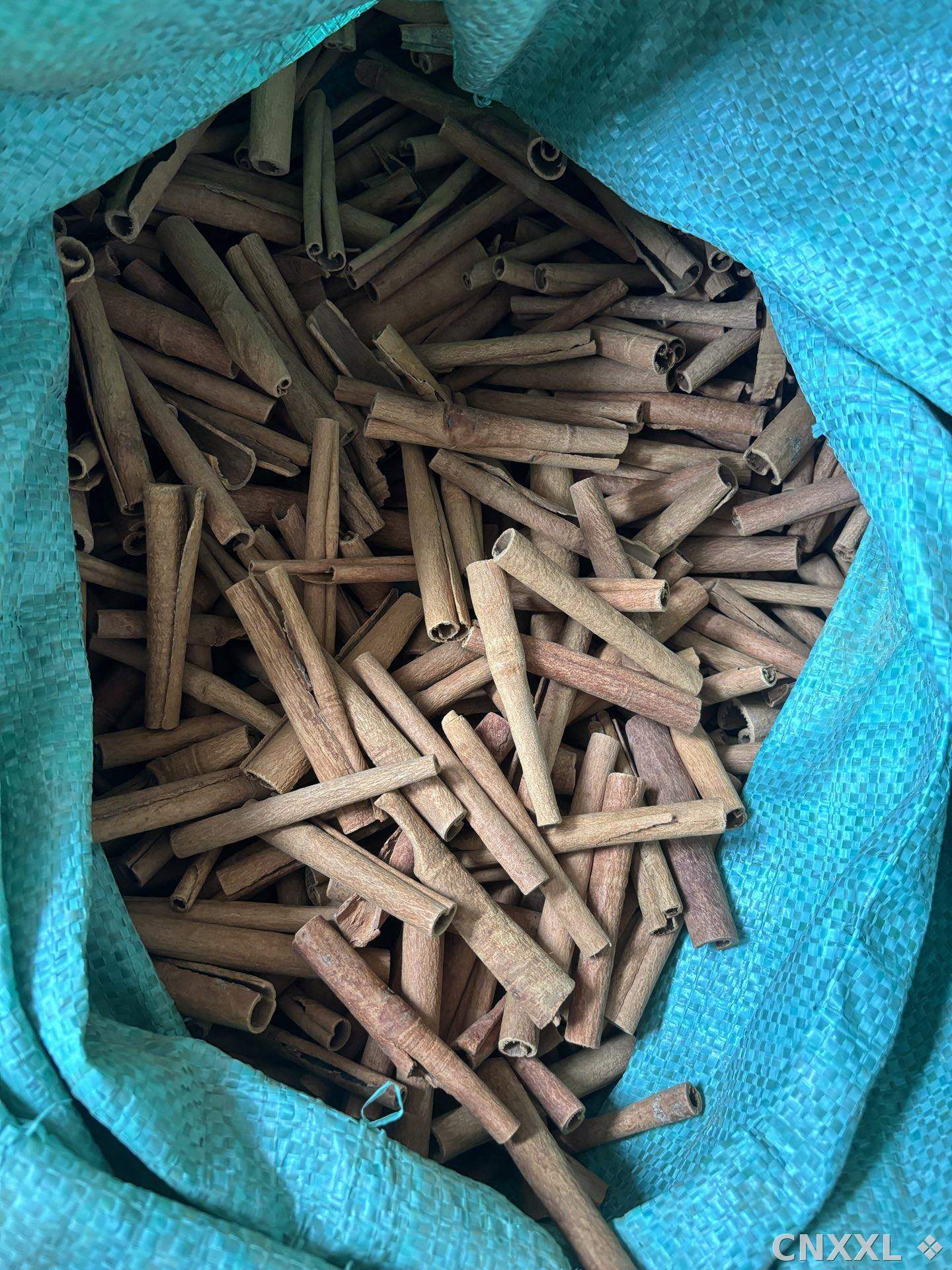spice_5026488_73564630_3.jpg