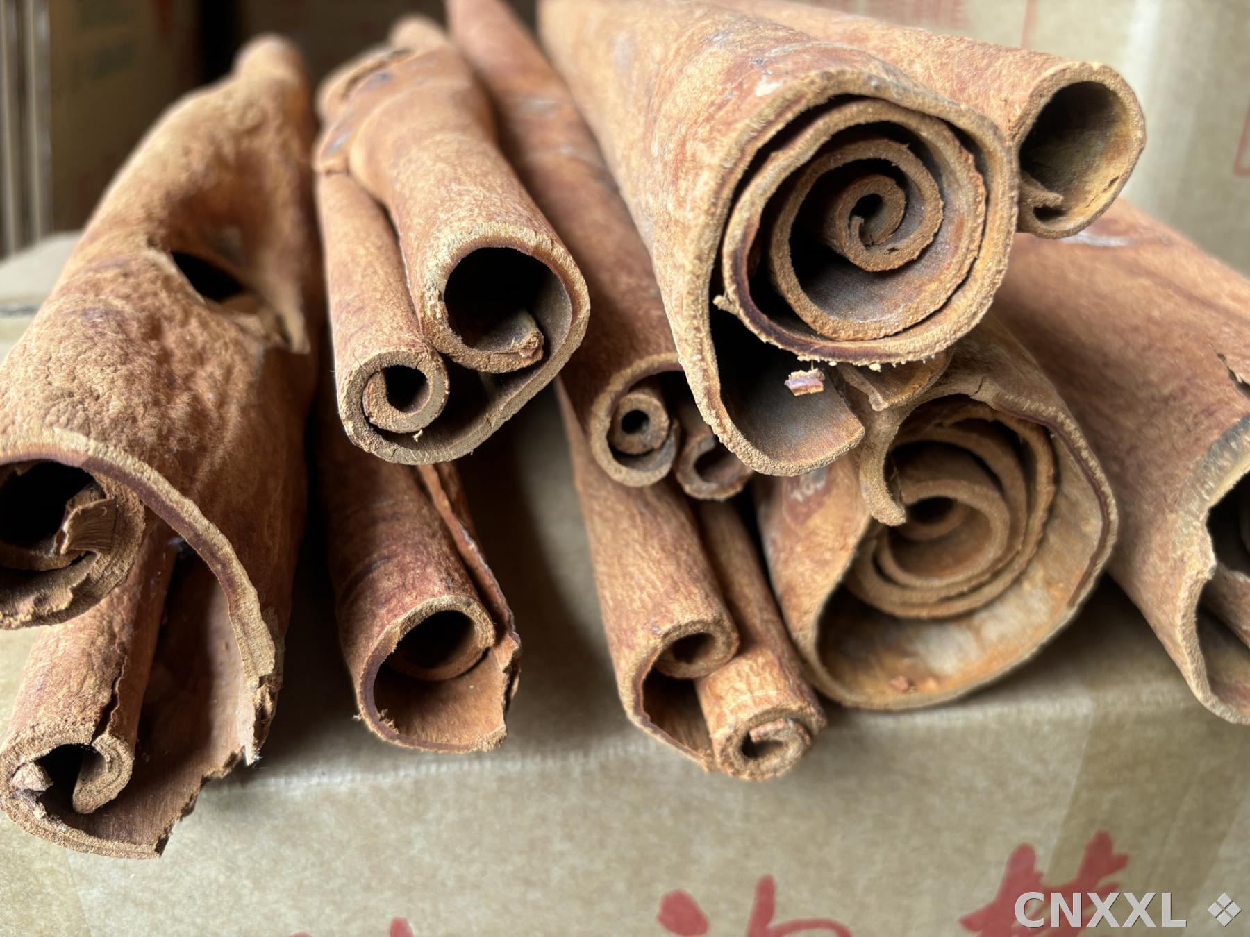 spice_5026490_3b86789a_2.jpg