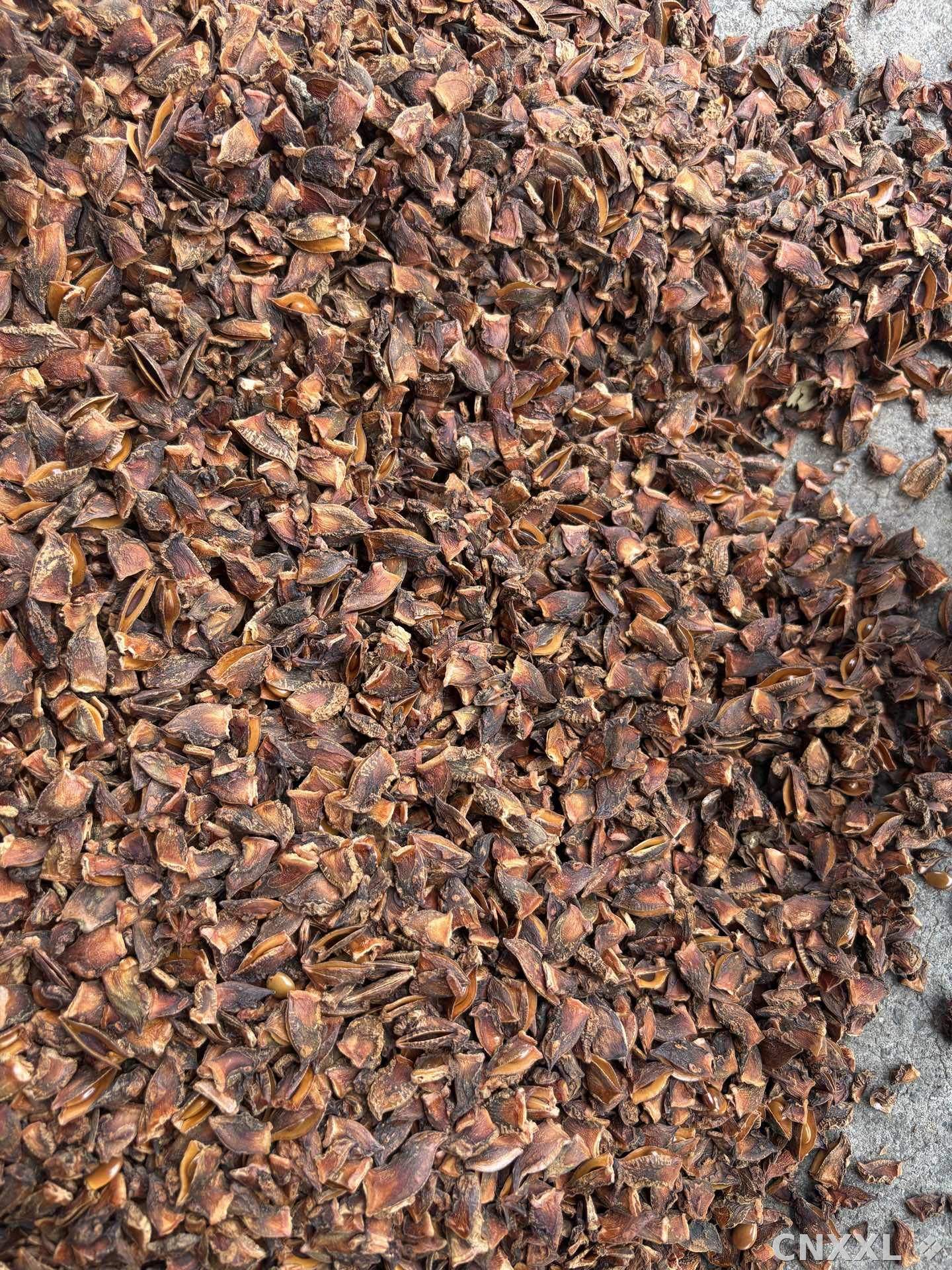 spice_5190775_b9f9bf38_3.jpg