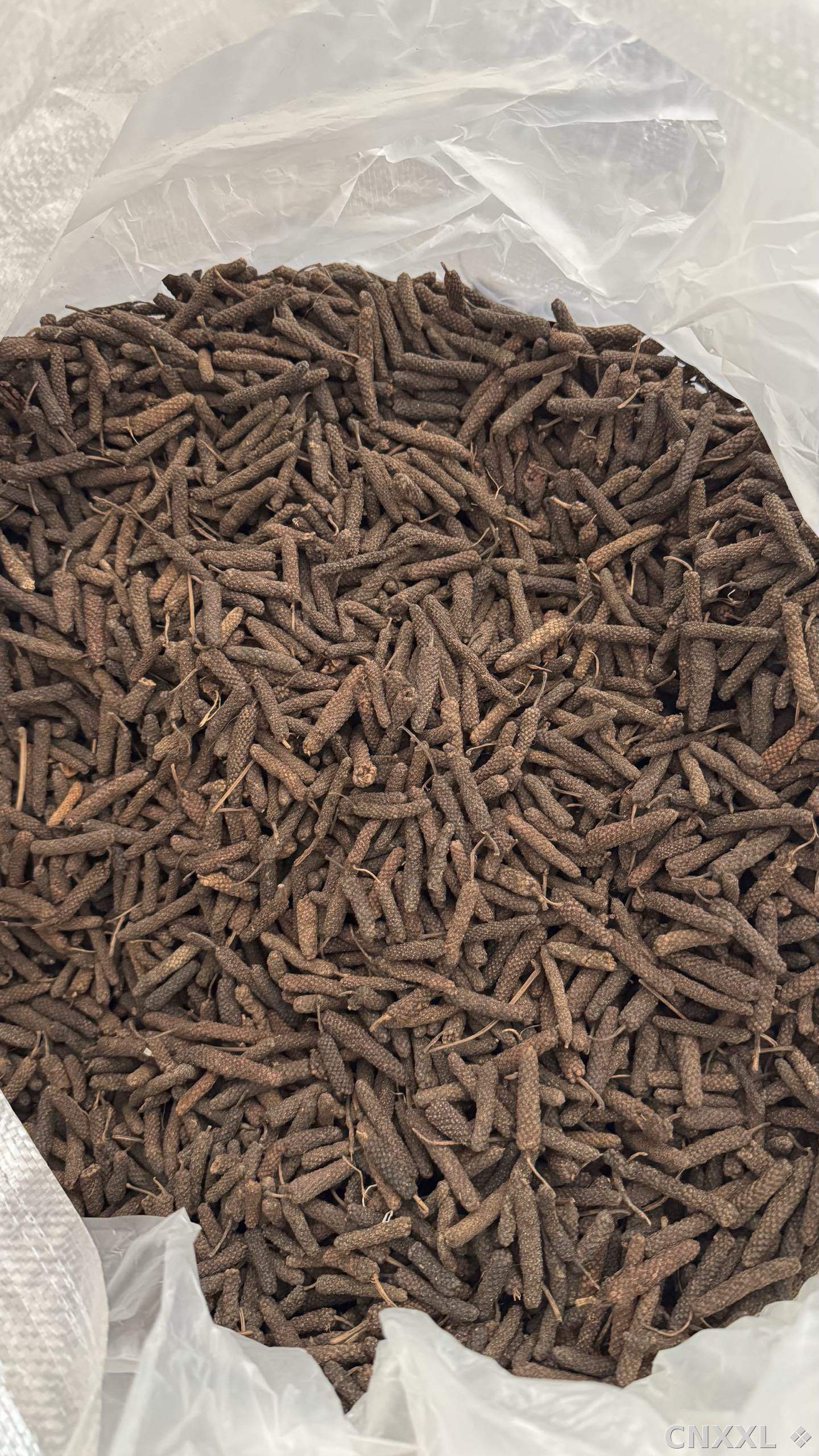 spice_8373_a987c915_3.jpg