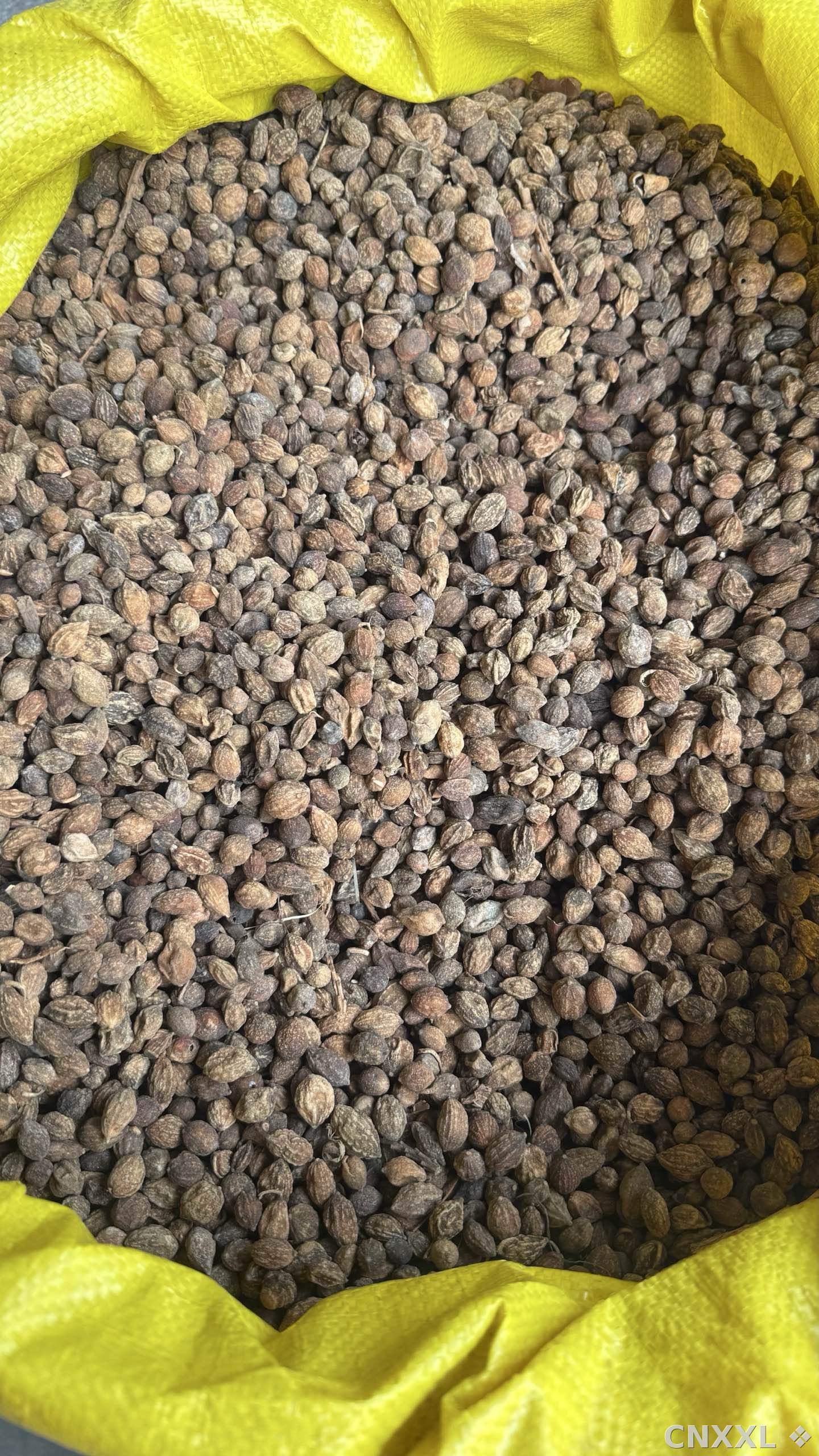 spice_857212_b21dd656_3.jpg