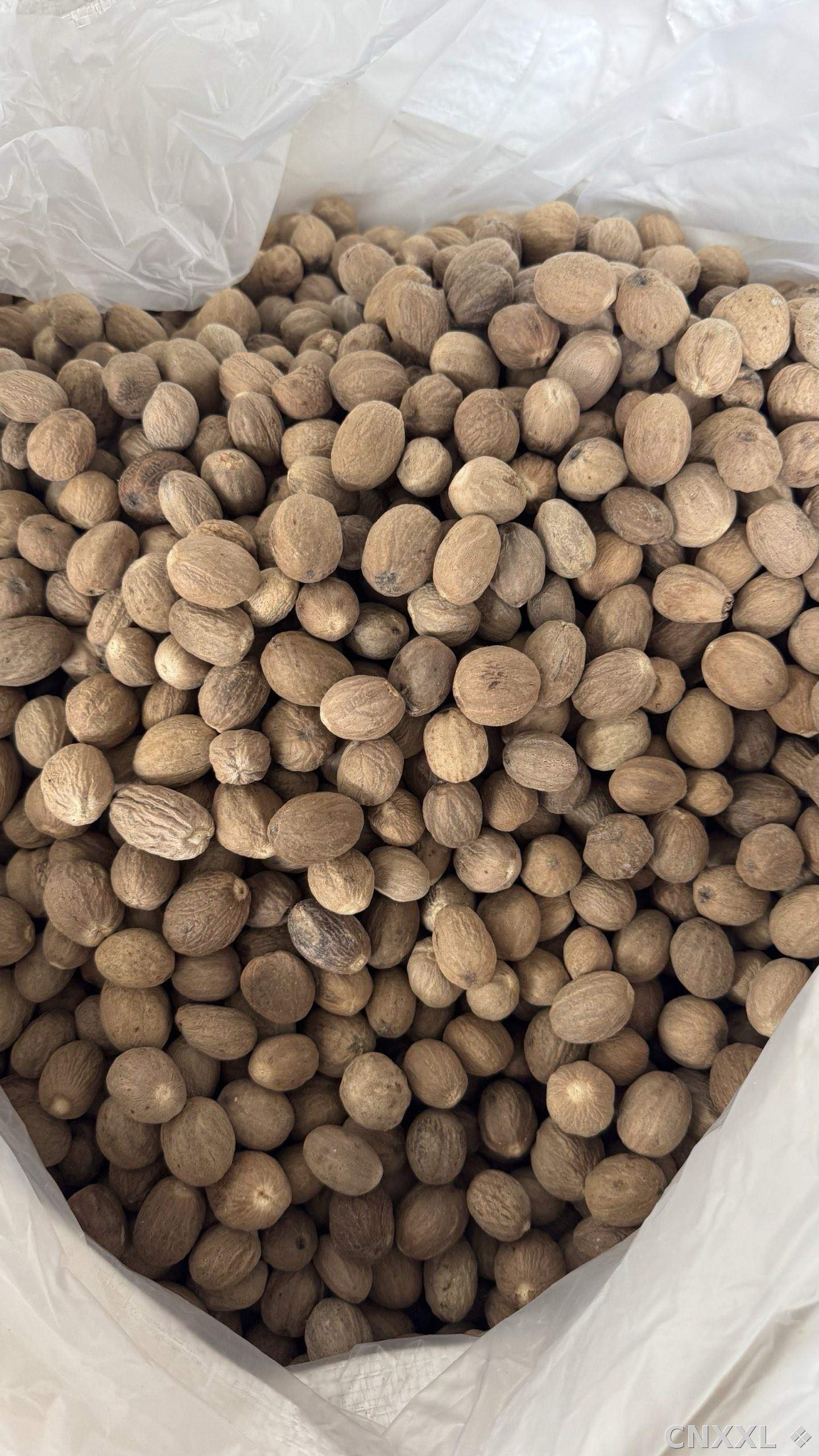 spice_8719_0a3137ac_3.jpg
