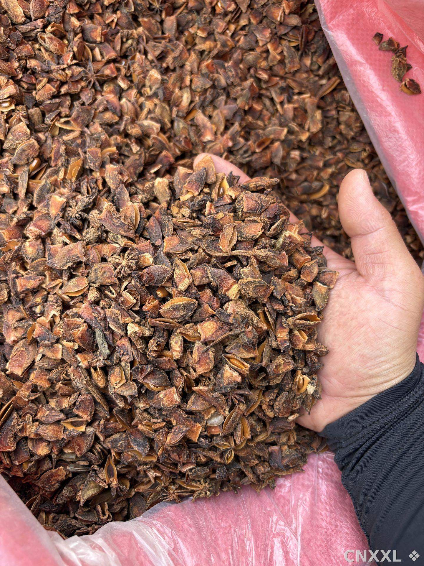 spice_8880_3aab2b3e_3.jpg