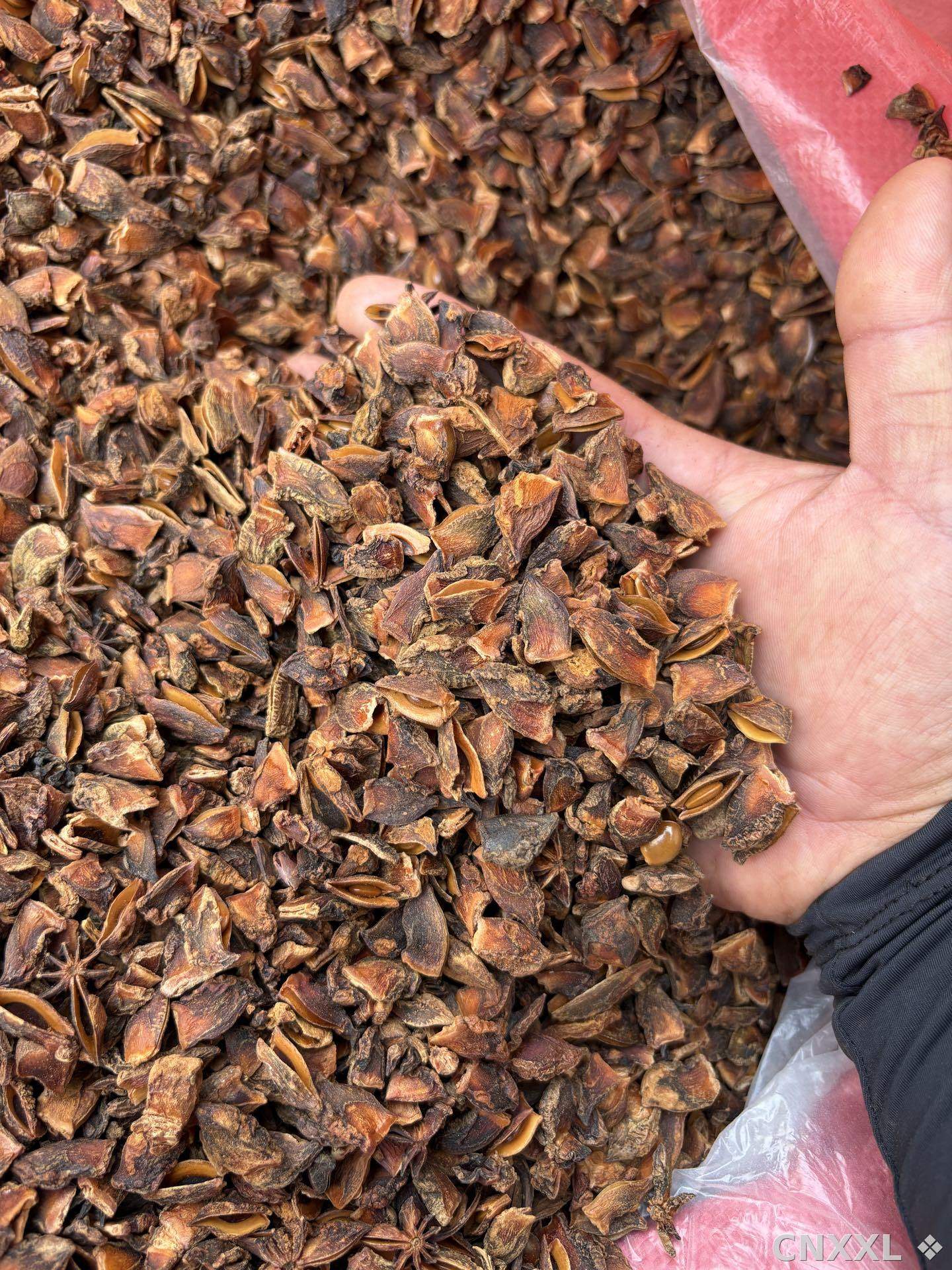 spice_8880_d9f314ca_2.jpg